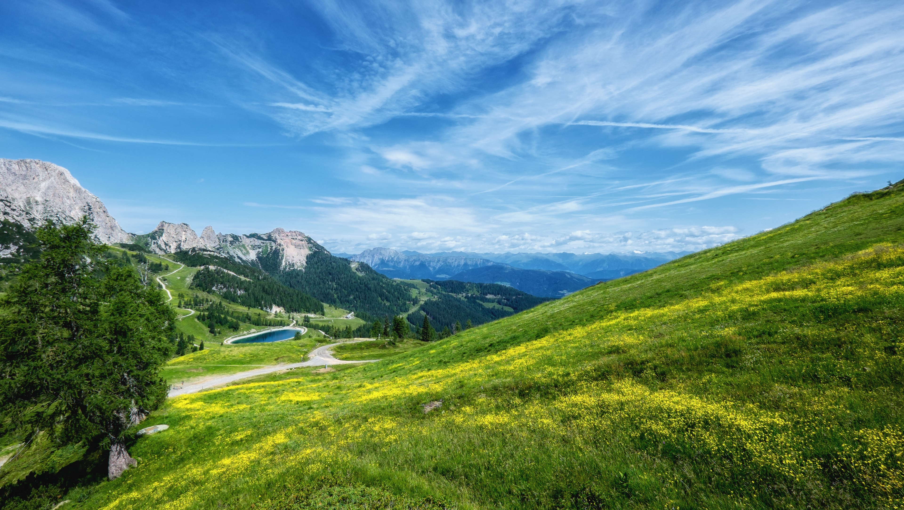 Mountain landscape with lake and wildflowers HD Wallpaper