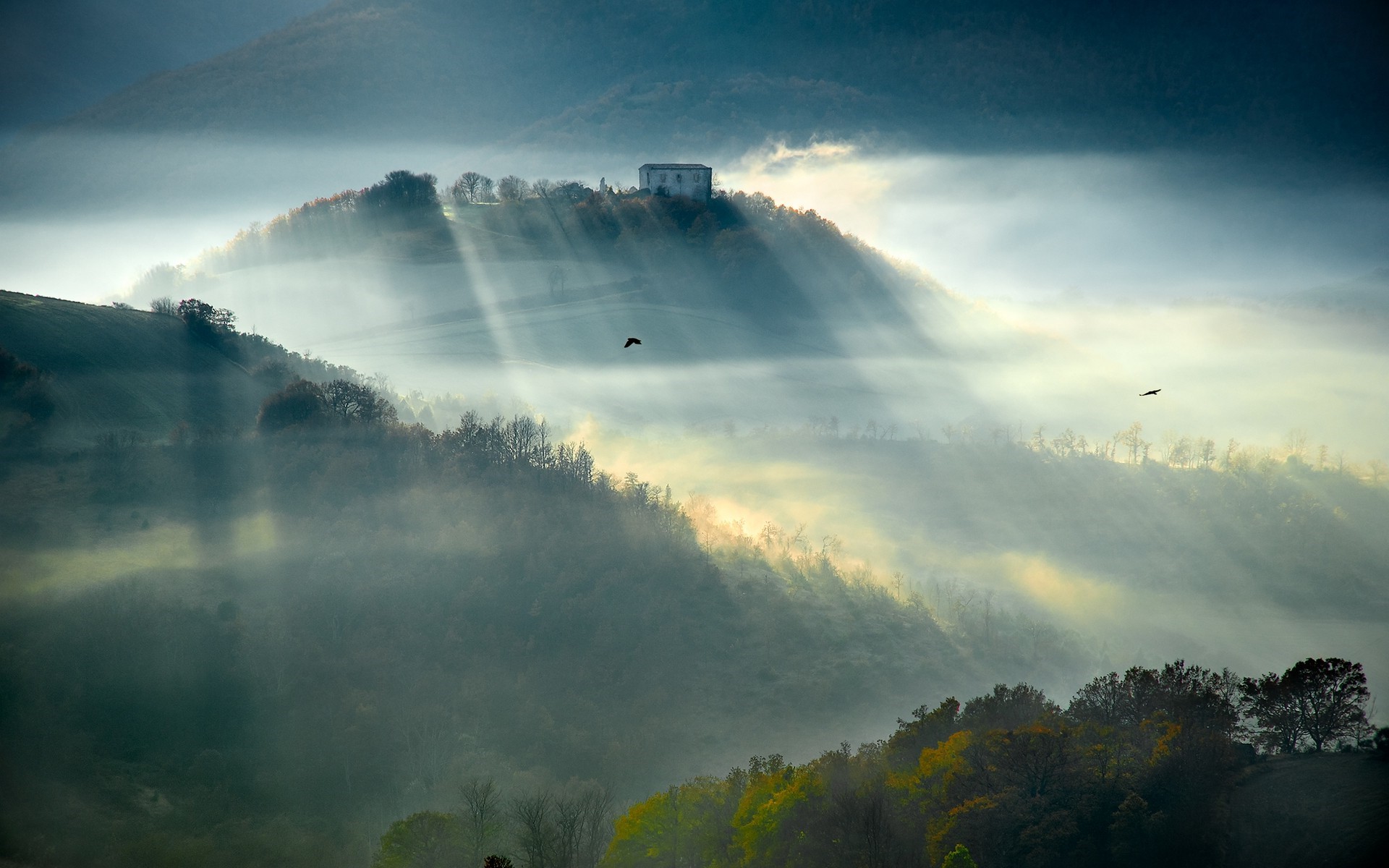 Misty mountain landscape with sunbeams and birds HD Wallpaper