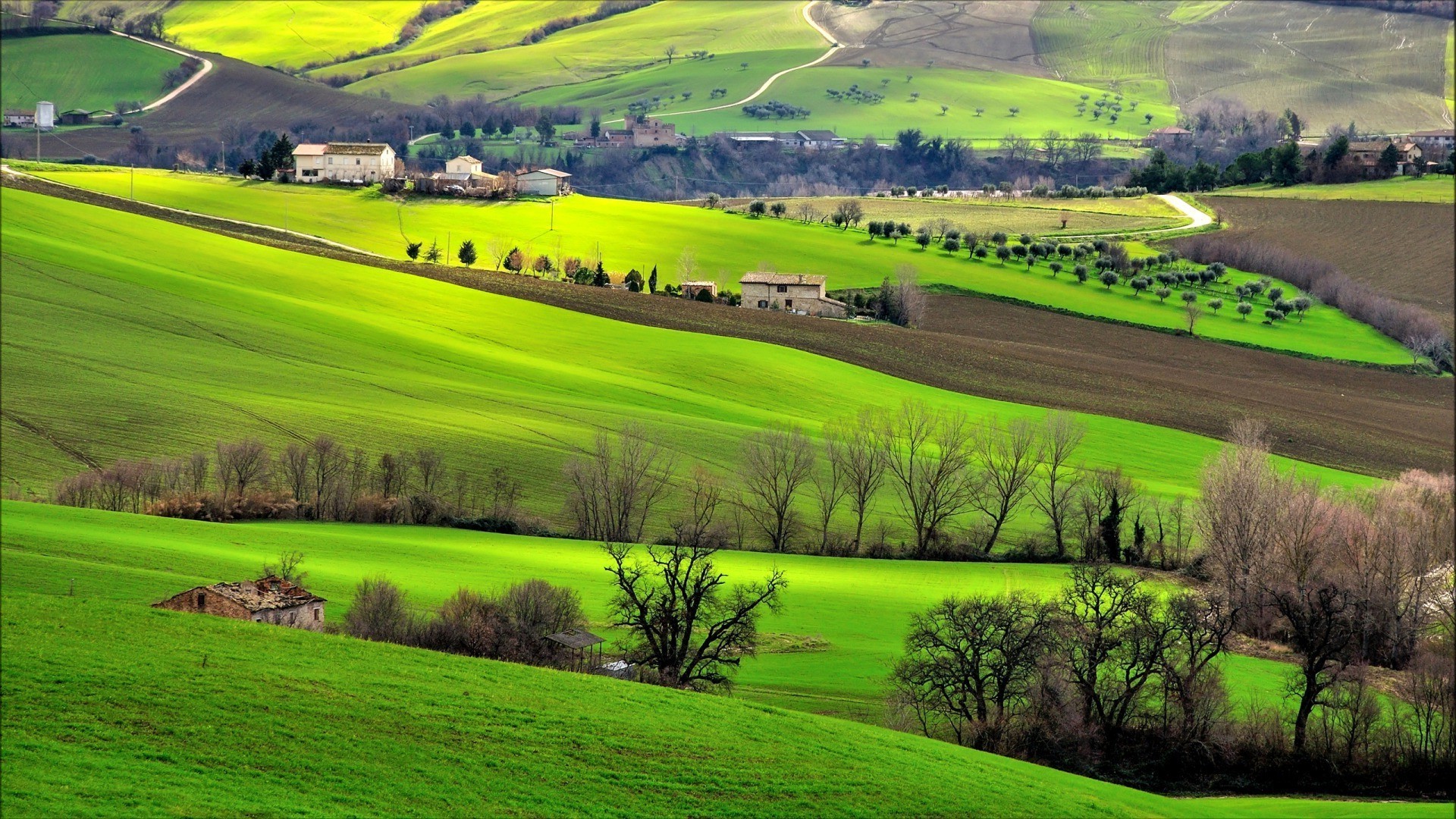 Rolling green hills and farmhouses in Italy HD Wallpaper