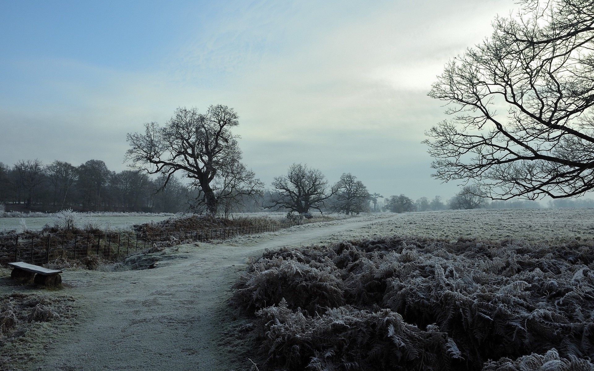 Winter landscape with frosted trees and path HD Wallpaper