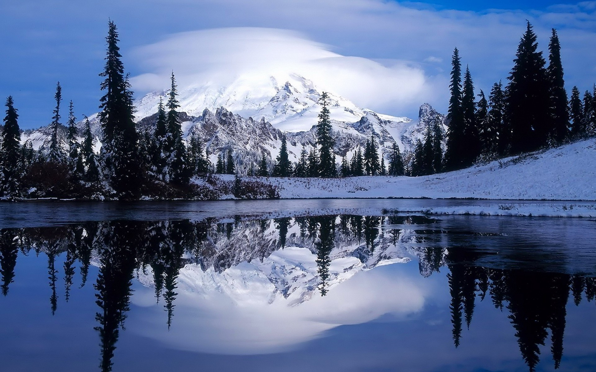 Snowy mountain reflected in a lake with pine trees HD Wallpaper