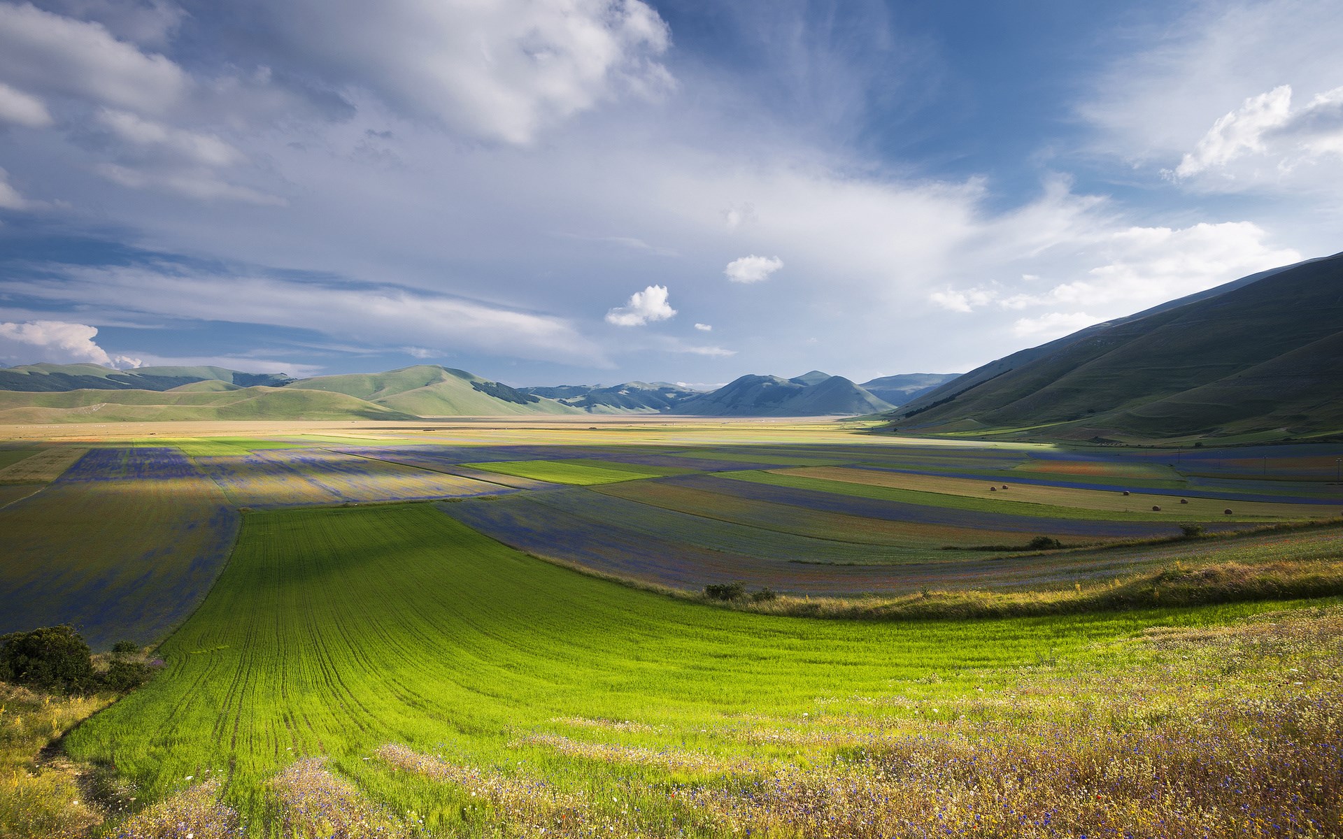 Fields of Castelluccio di Norcia, Italy HD Wallpaper