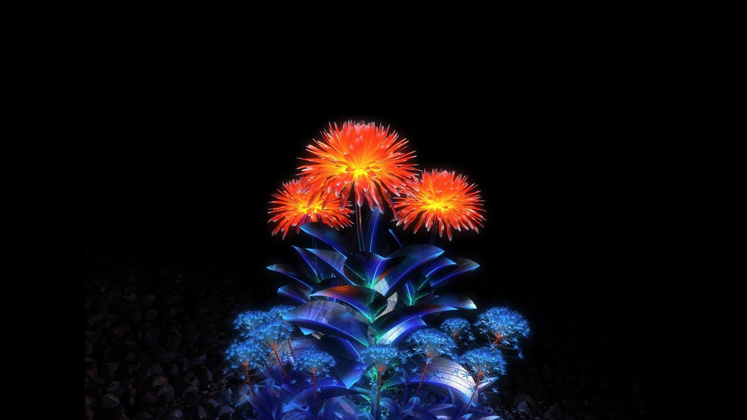 Glowing orange and blue flowers on black background HD Wallpaper