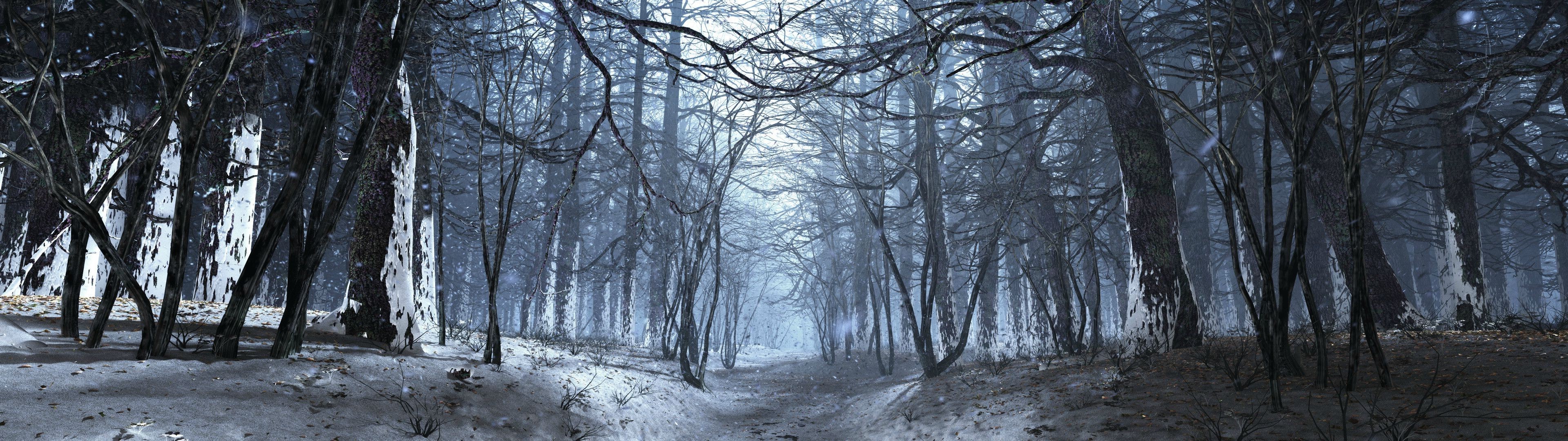Snowy forest path with bare trees HD Wallpaper