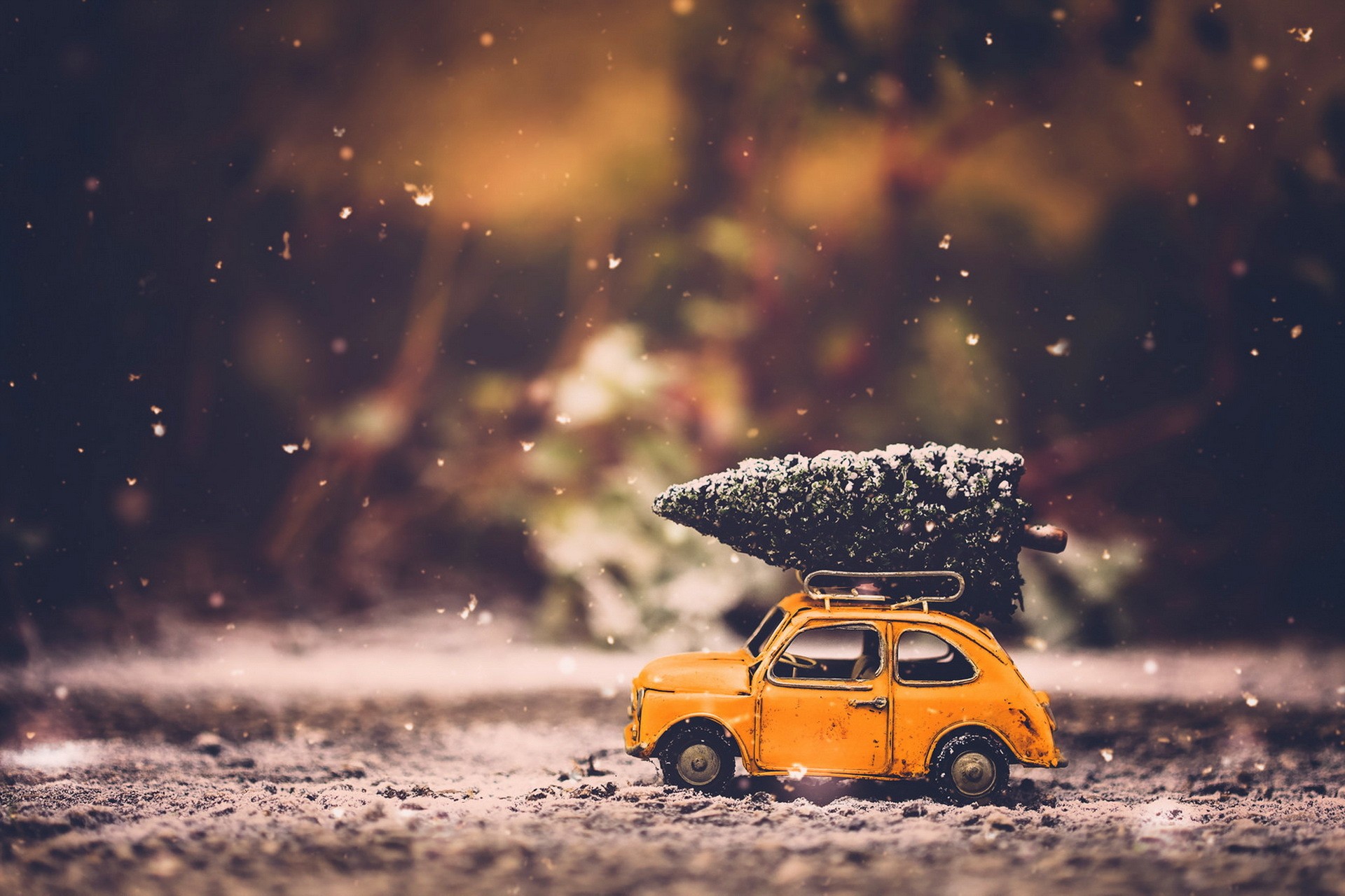 Toy car carrying a Christmas tree in the snow HD Wallpaper