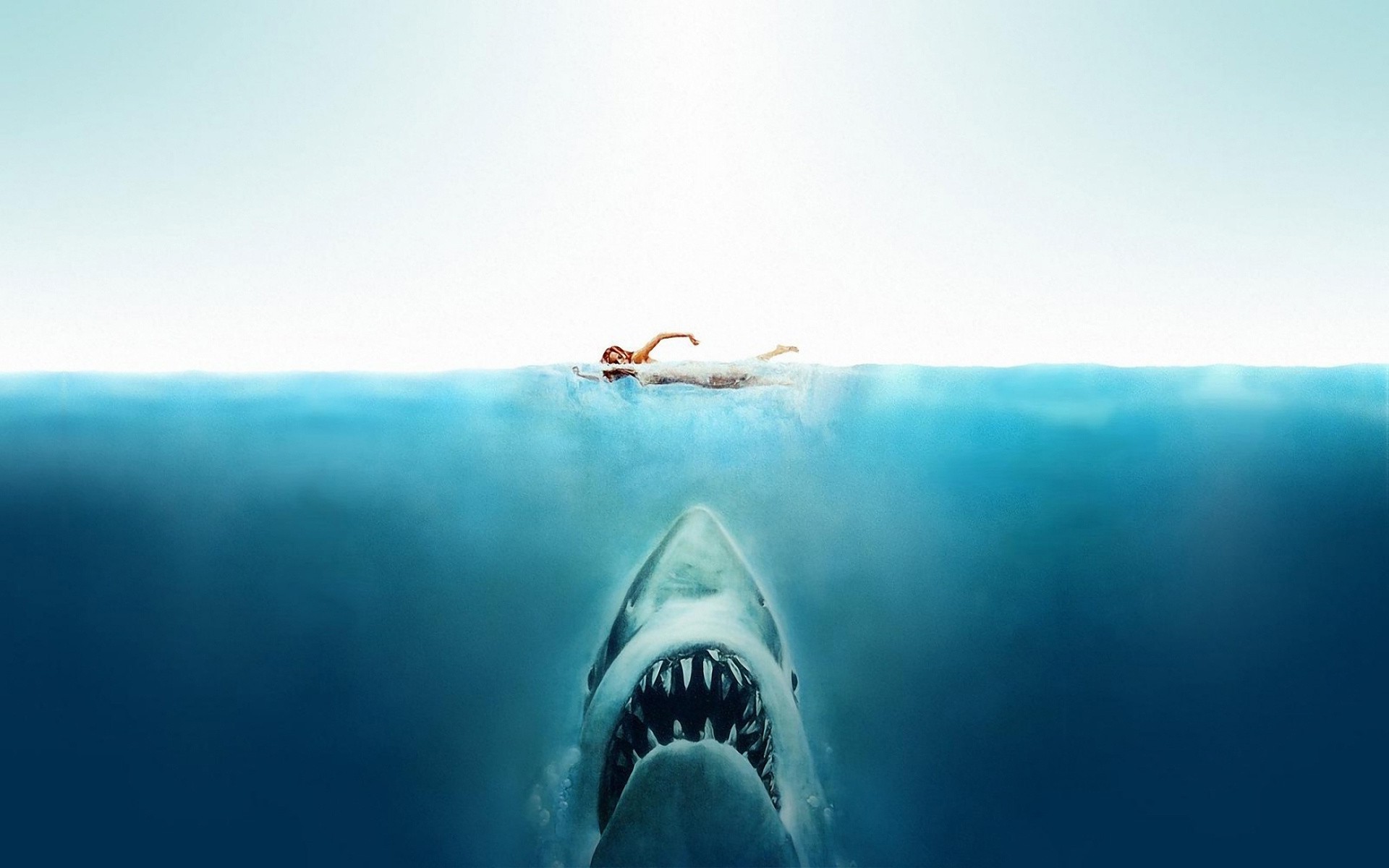 Jaws movie poster with shark and swimmer HD Wallpaper