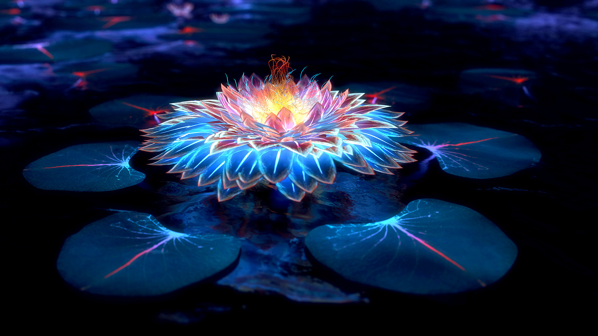 Glowing fractal lotus flower on dark water HD Wallpaper