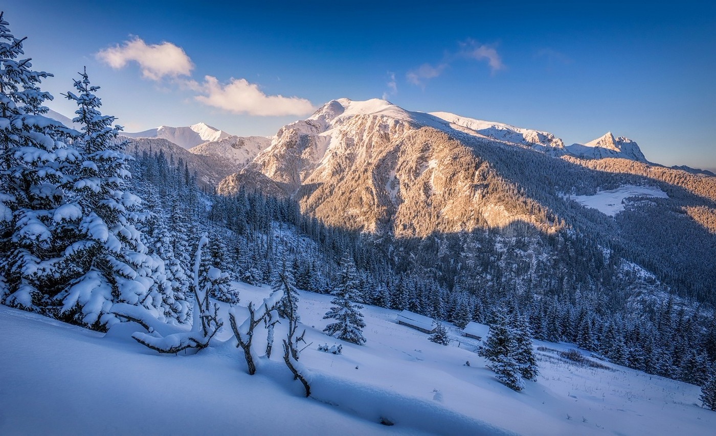 Snowy mountain landscape with pine forest and clear sky HD Wallpaper
