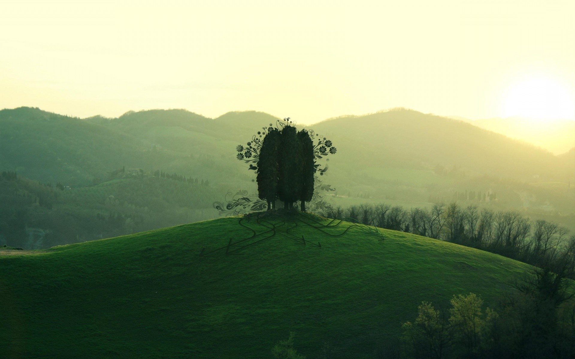 Surreal trees on a grassy hill at sunset HD Wallpaper
