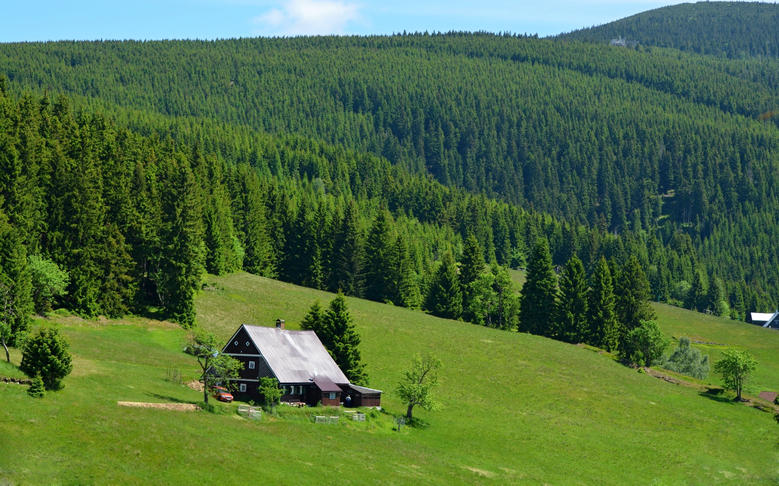 House on a grassy hill with a forest background HD Wallpaper