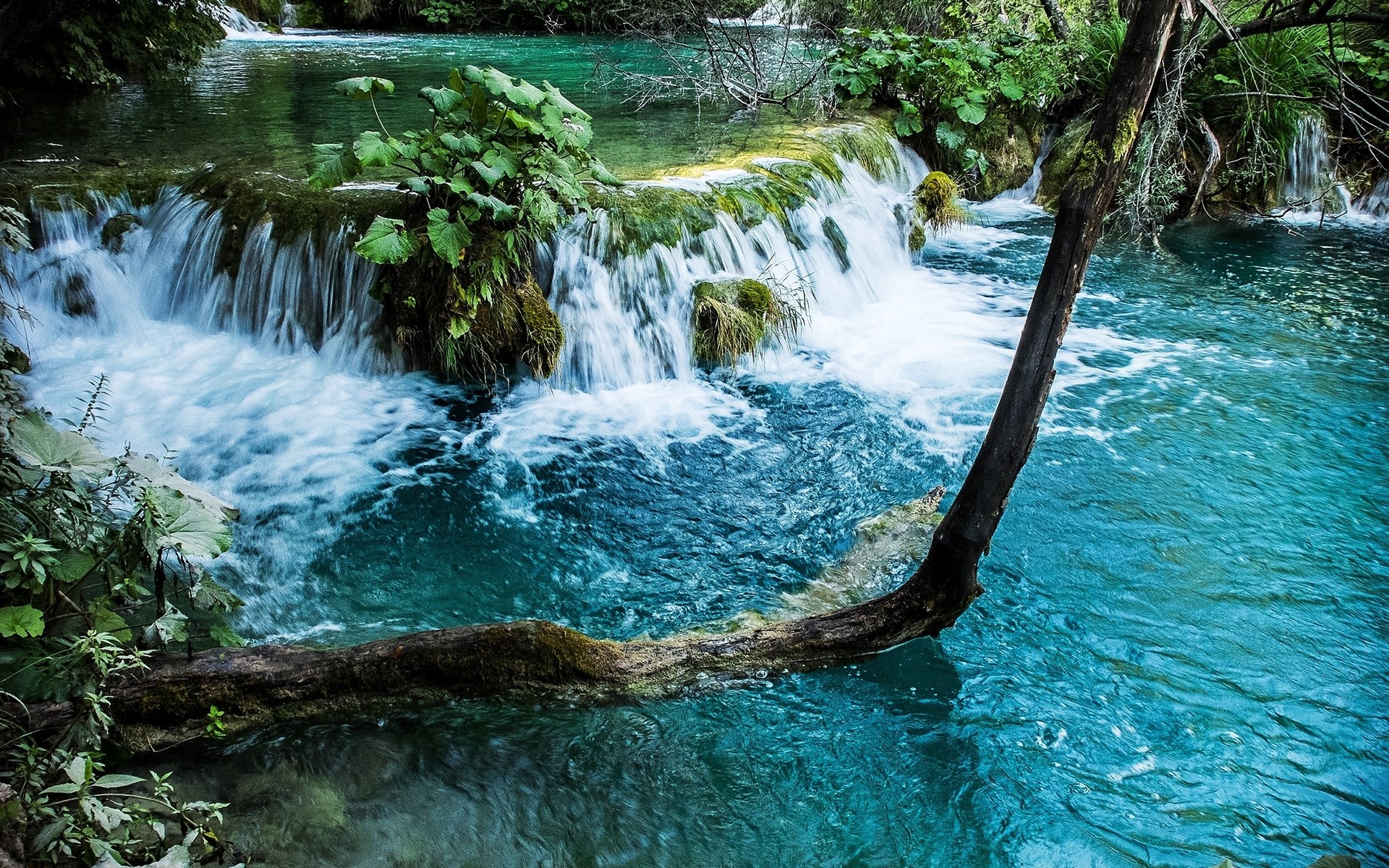 Turquoise waterfall with fallen tree trunk HD Wallpaper
