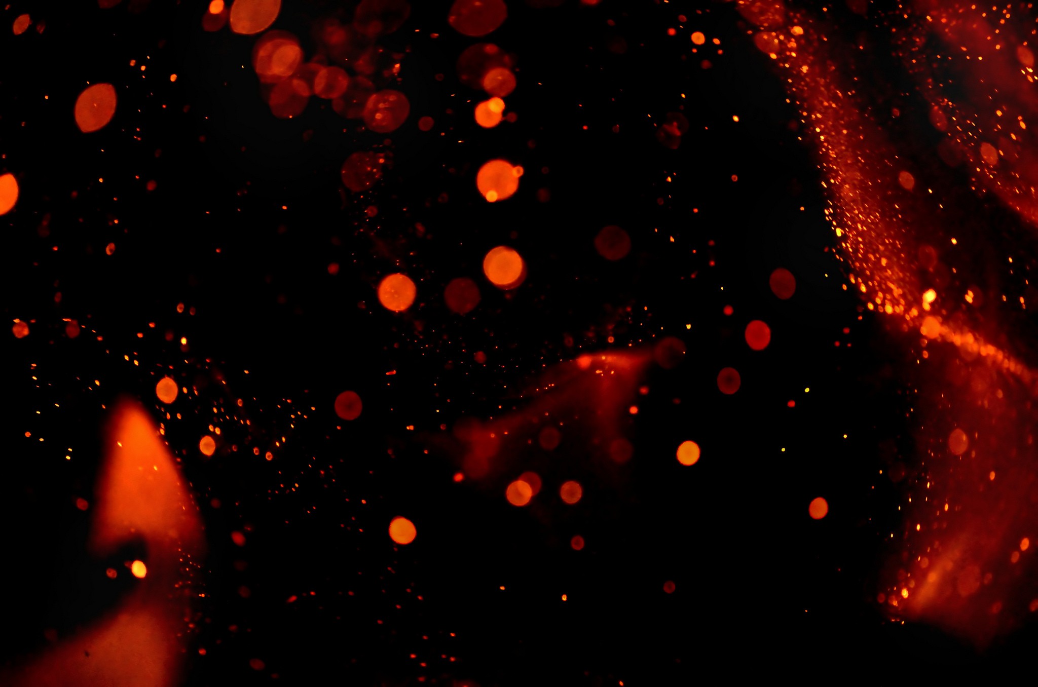 Red bokeh and dust particles on black background HD Wallpaper