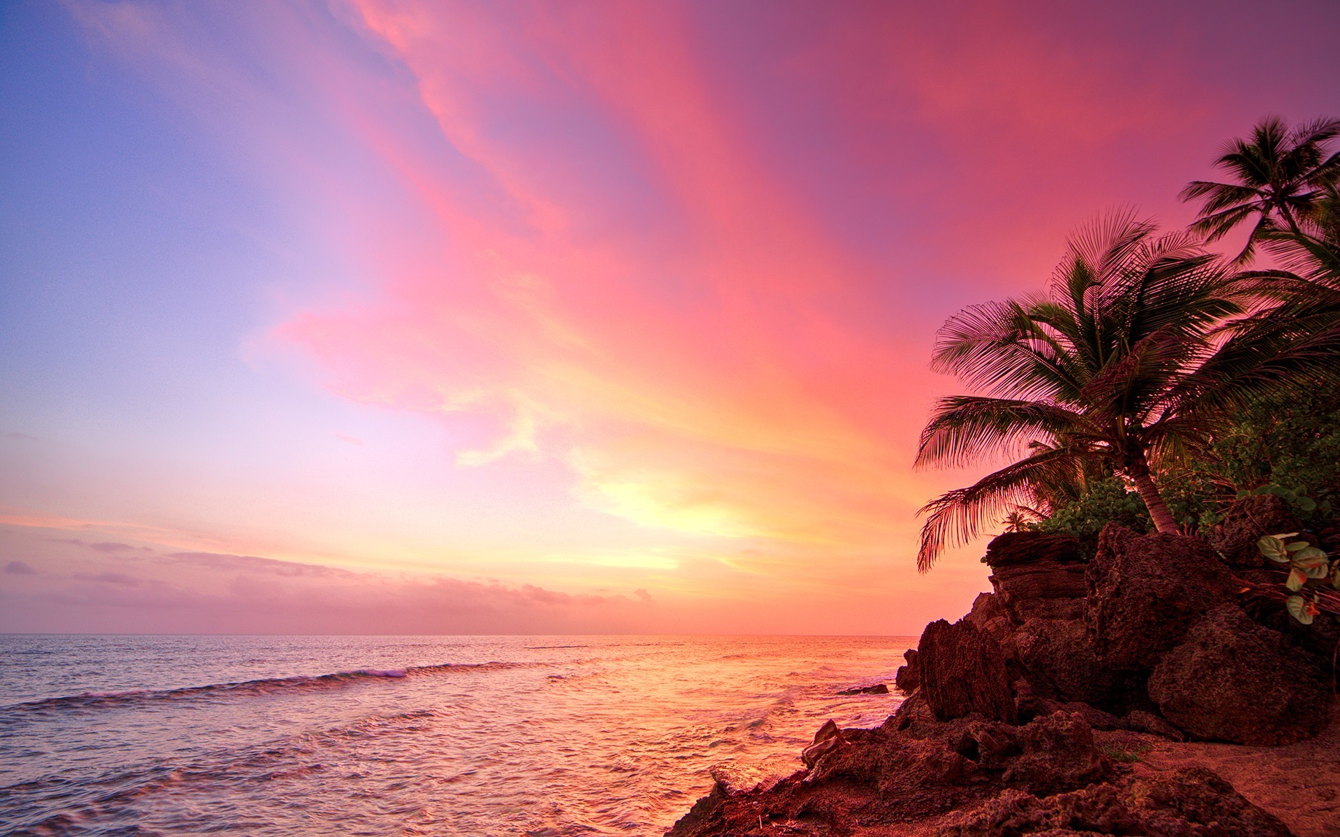 Tropical beach sunset with palm trees and ocean HD Wallpaper