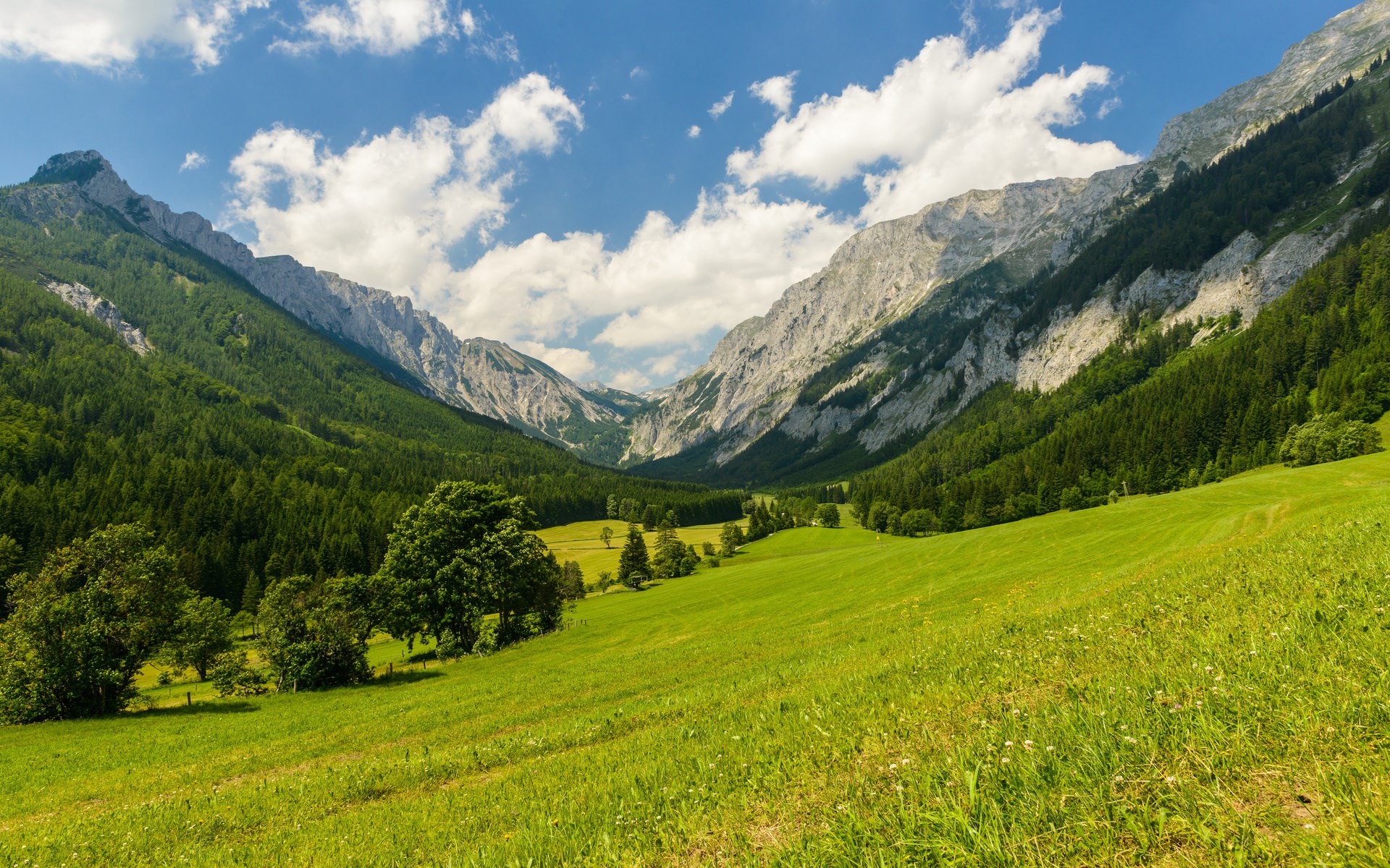 Green valley between mountains under a blue sky HD Wallpaper