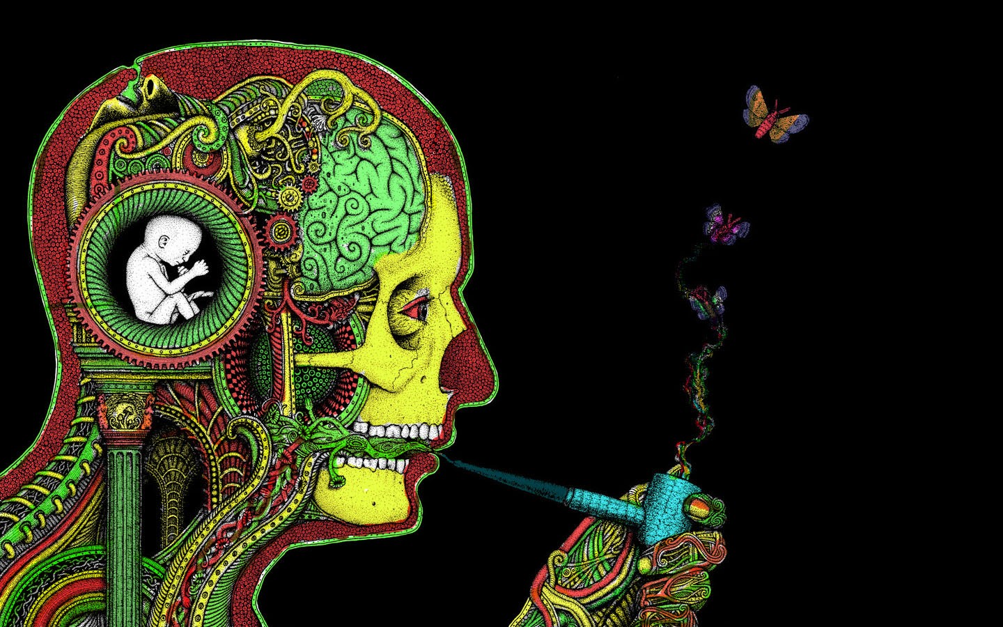 Psychedelic skull with fetus and butterflies HD Wallpaper