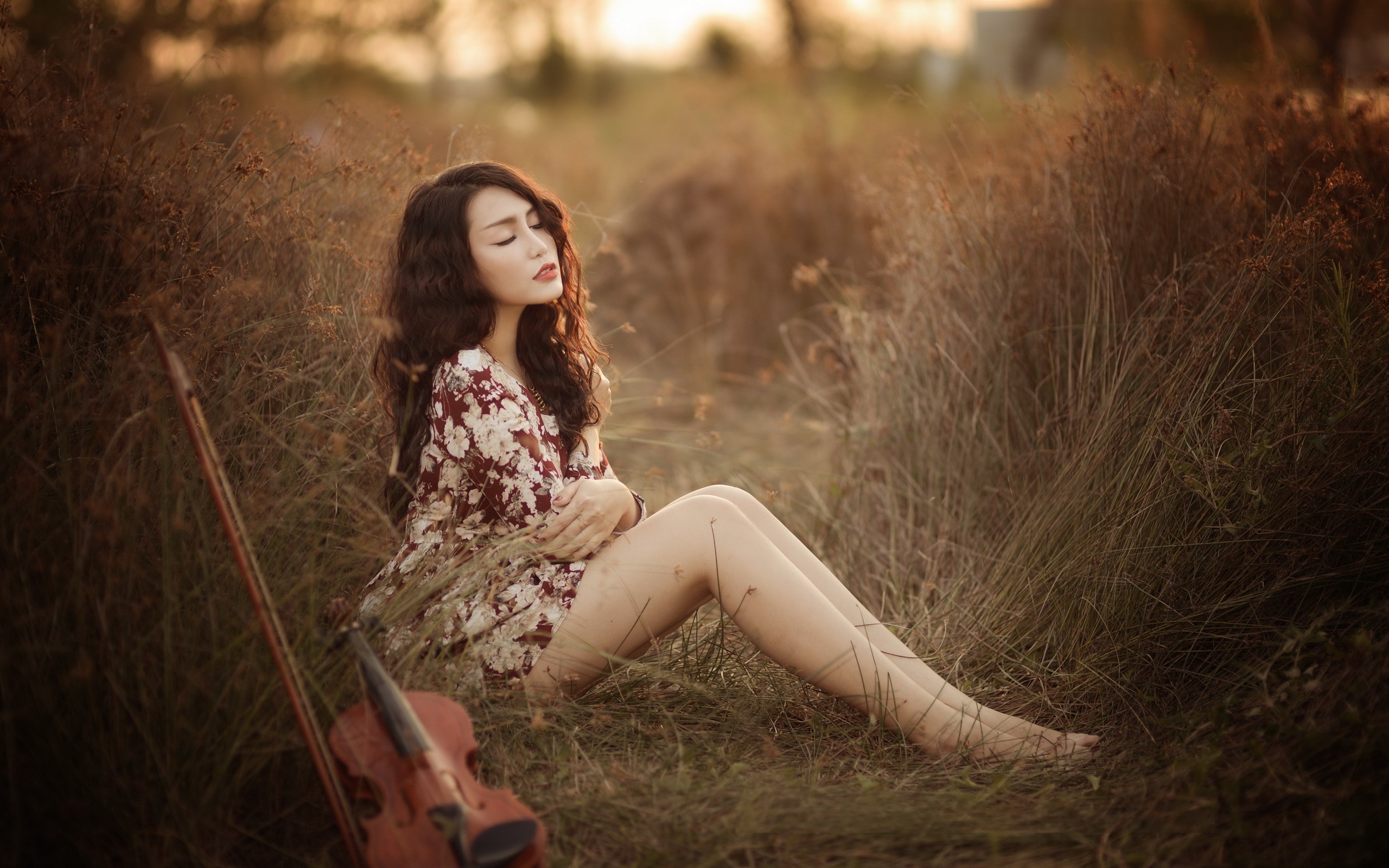 Woman sitting in a field with a violin HD Wallpaper