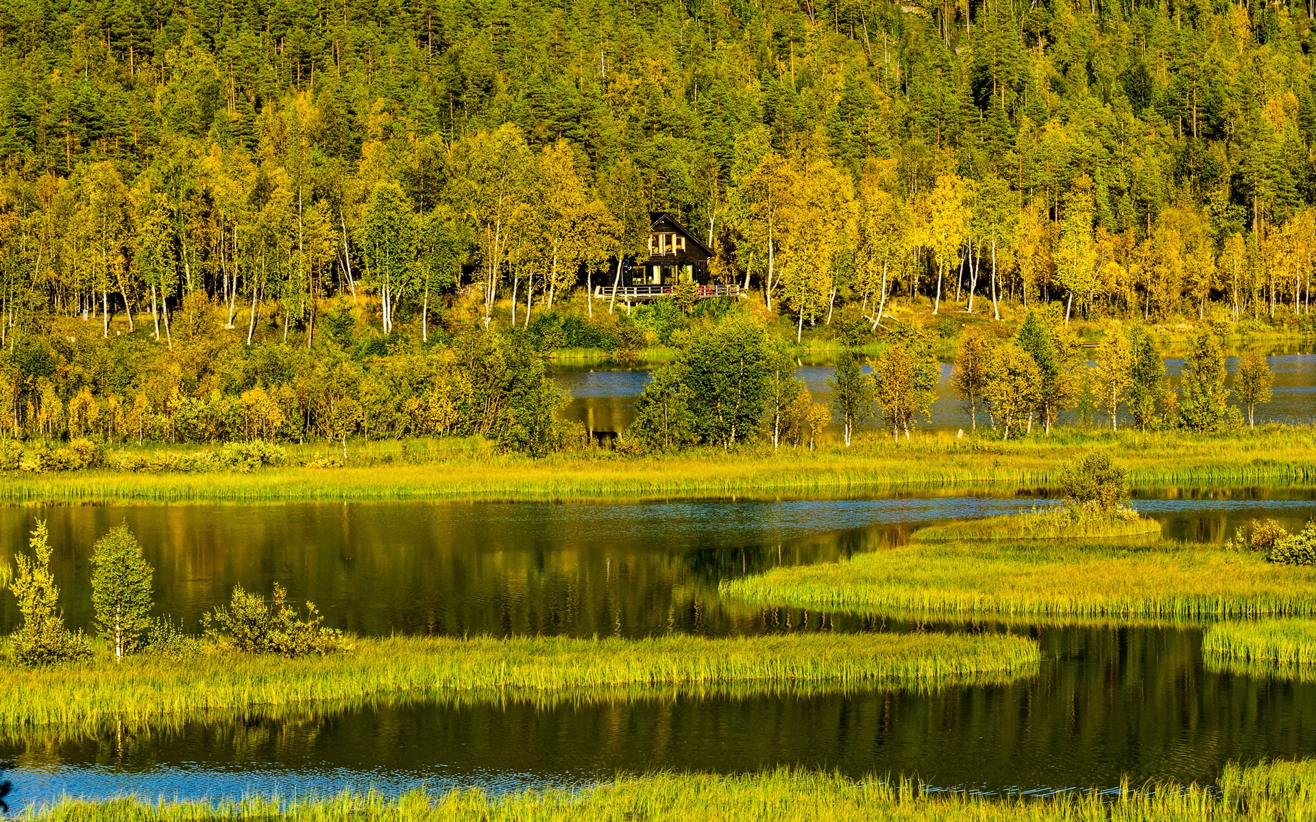 House in a forest by a lake with autumn colors HD Wallpaper