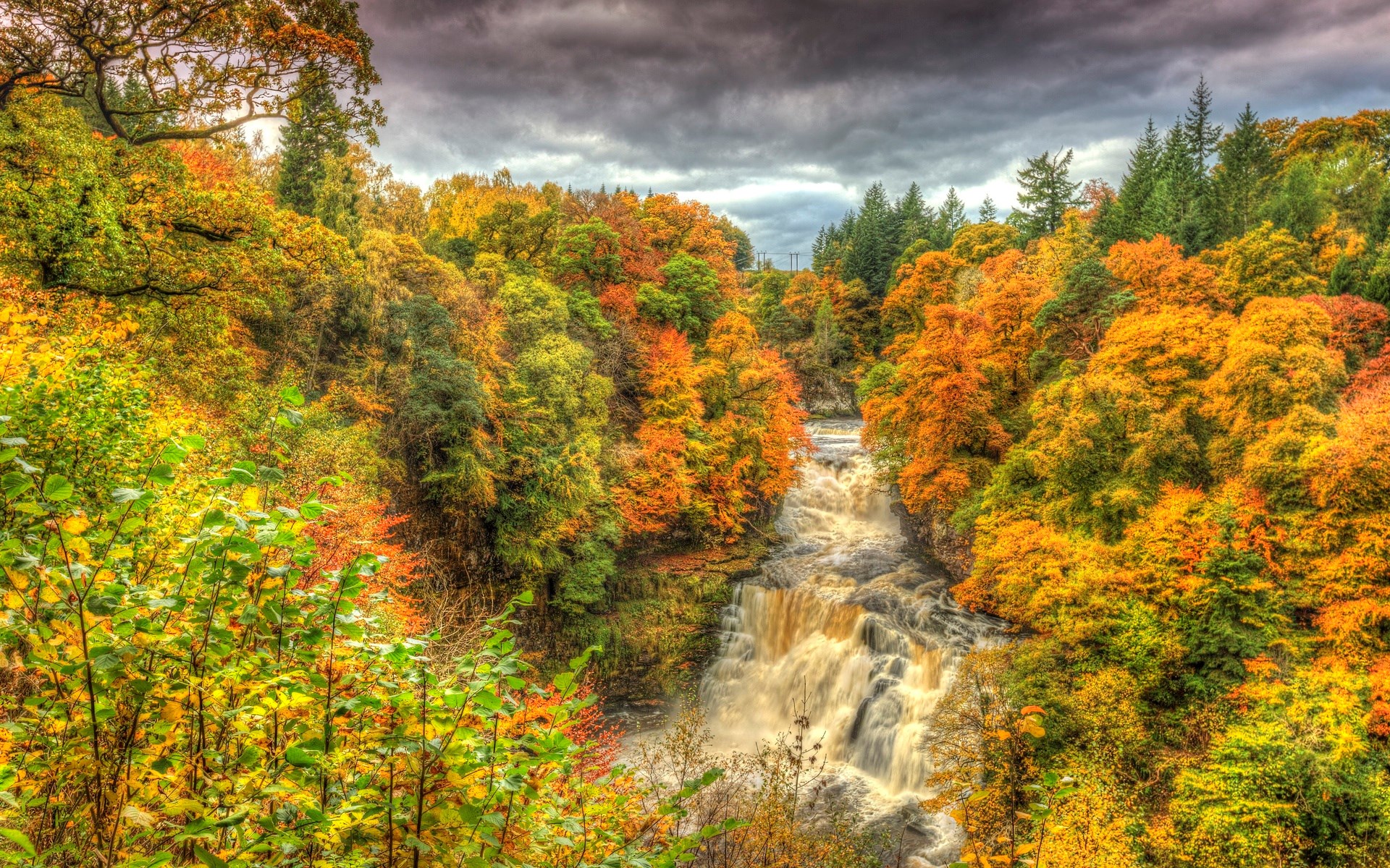 Waterfall in a forest during autumn HD Wallpaper