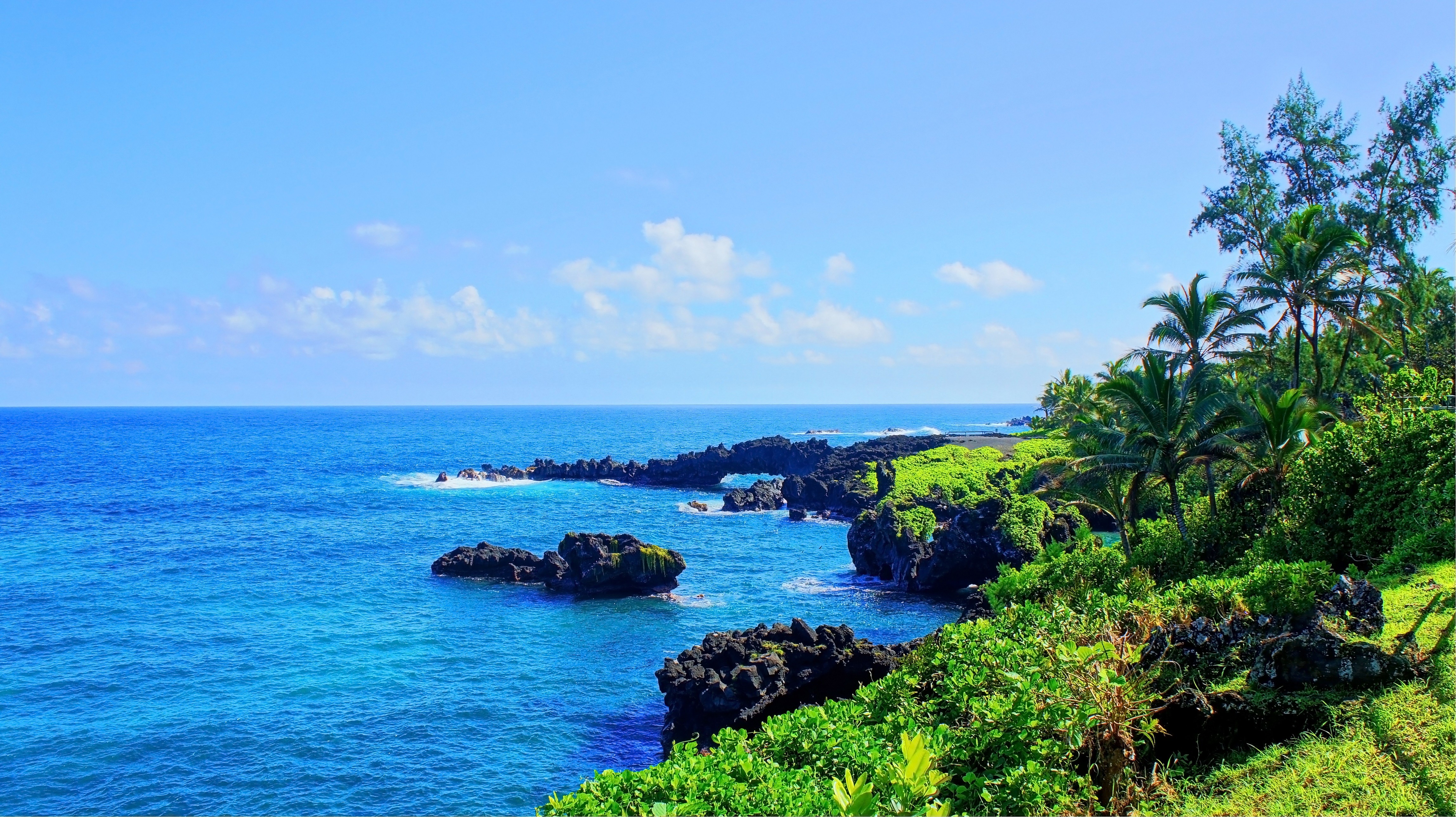 Tropical coast with black rocks and palm trees HD Wallpaper