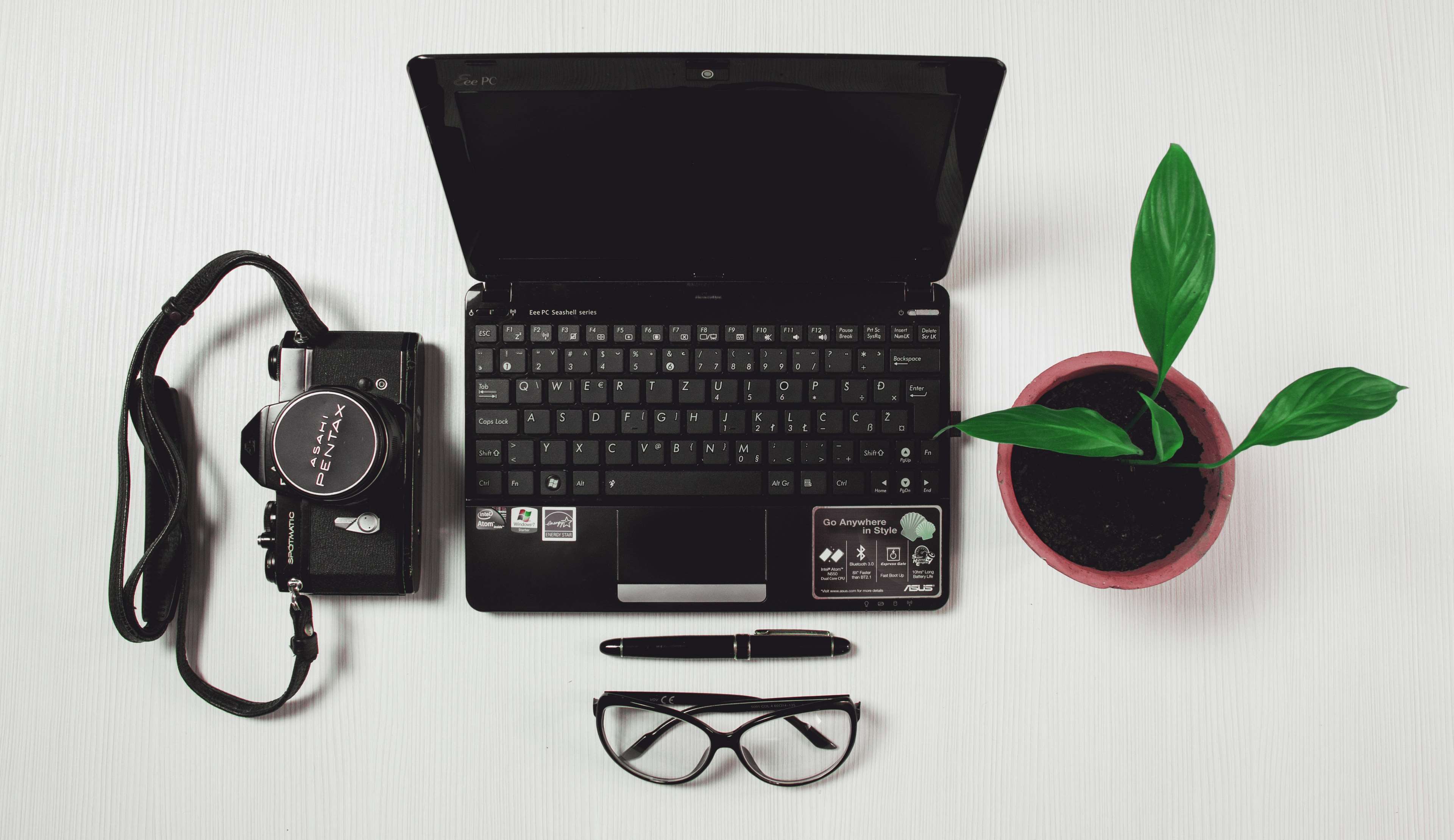Black laptop, camera, eyeglasses, pen, and potted plant HD Wallpaper