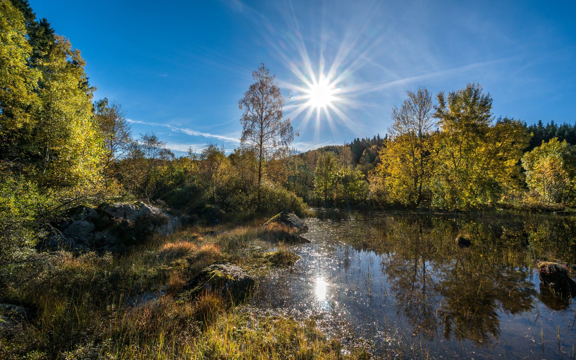 Autumn forest with sun and pond reflection HD Wallpaper