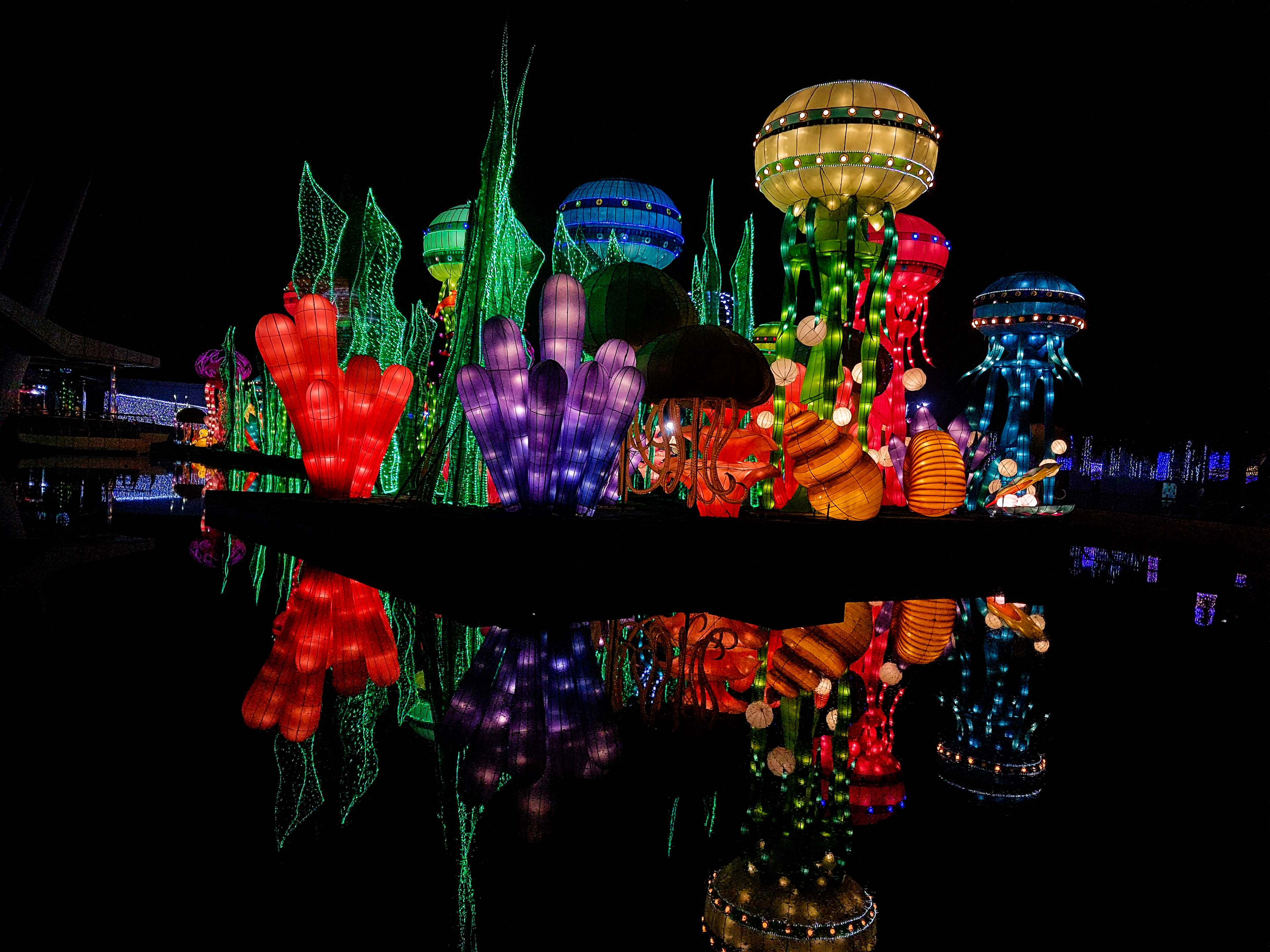 Underwater Lantern Display Reflected in Water HD Wallpaper
