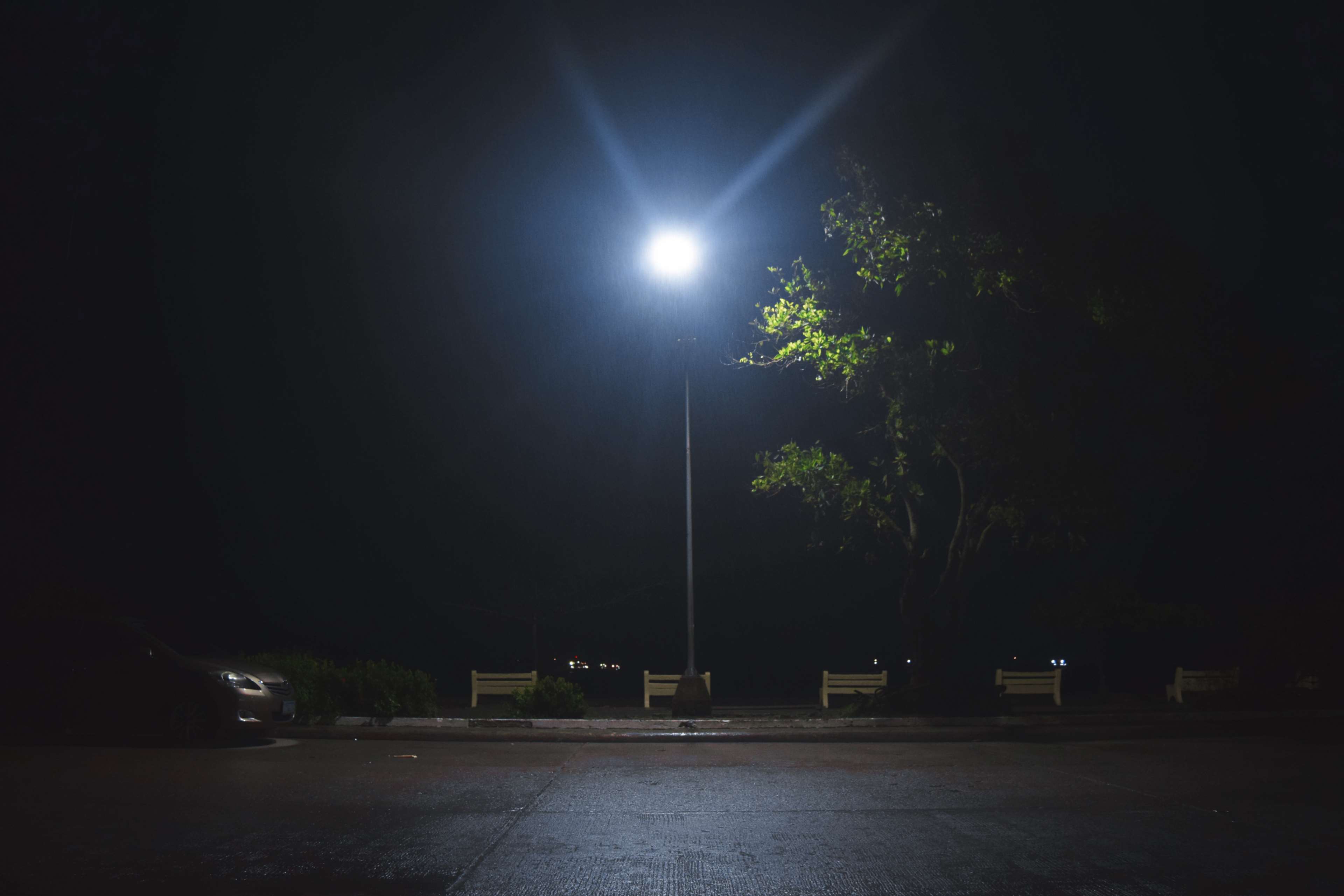 Street light at night with tree and benches HD Wallpaper