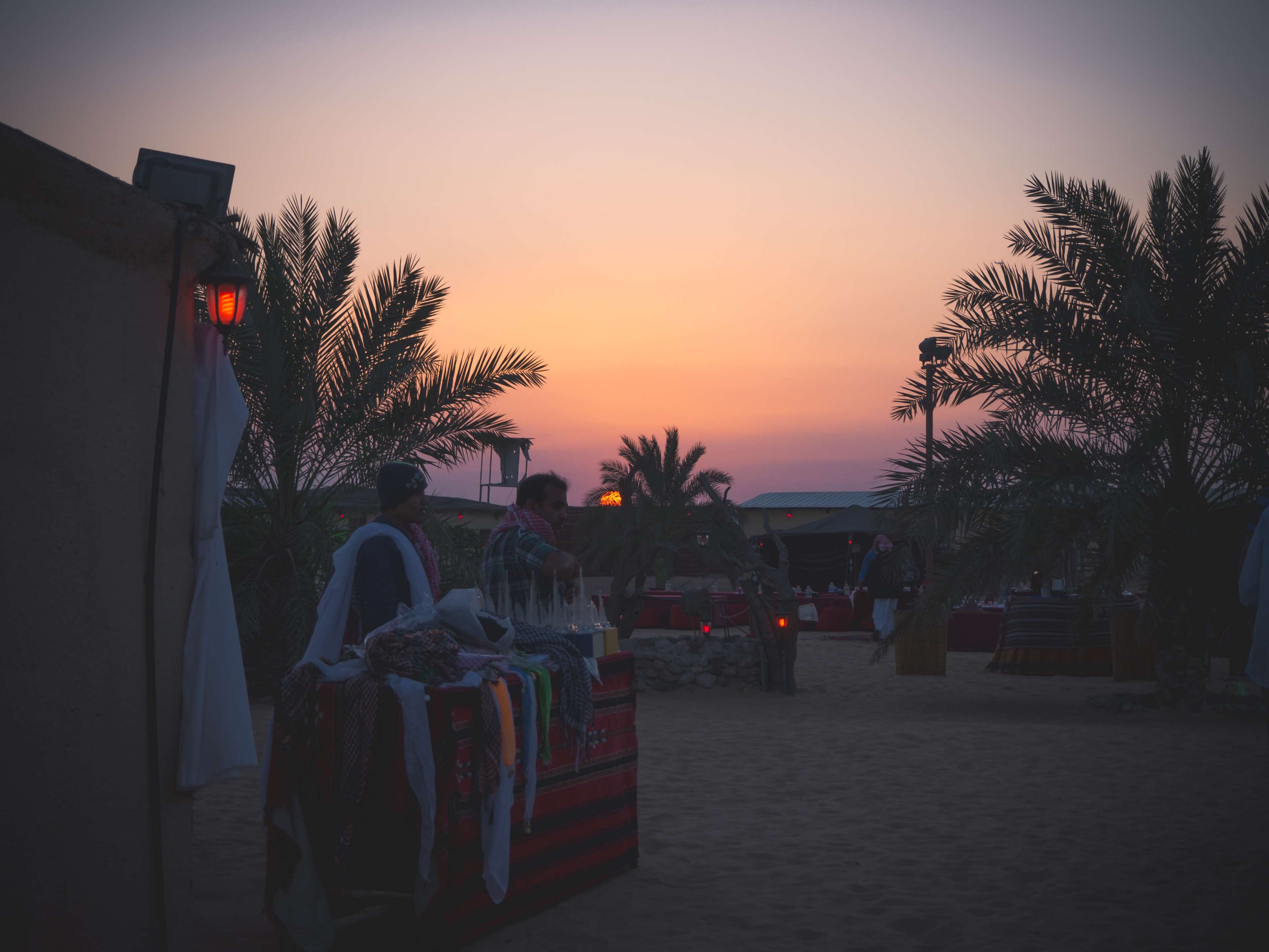 Desert camp at sunset with palm trees HD Wallpaper