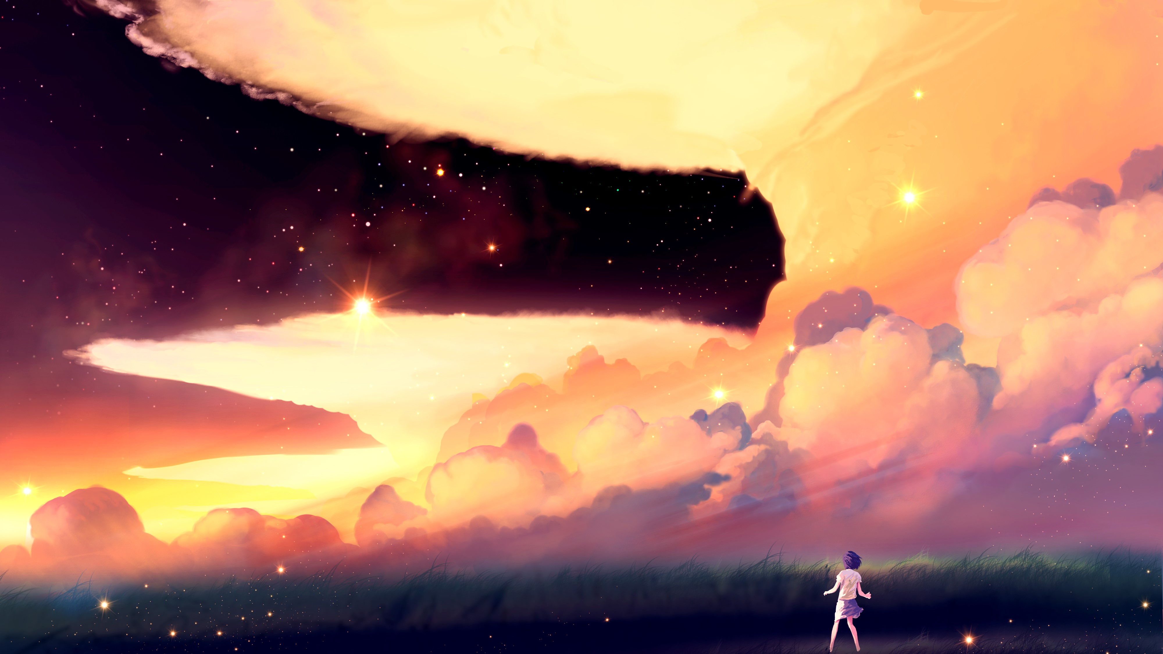 Girl standing in a field under a dramatic sunset sky HD Wallpaper