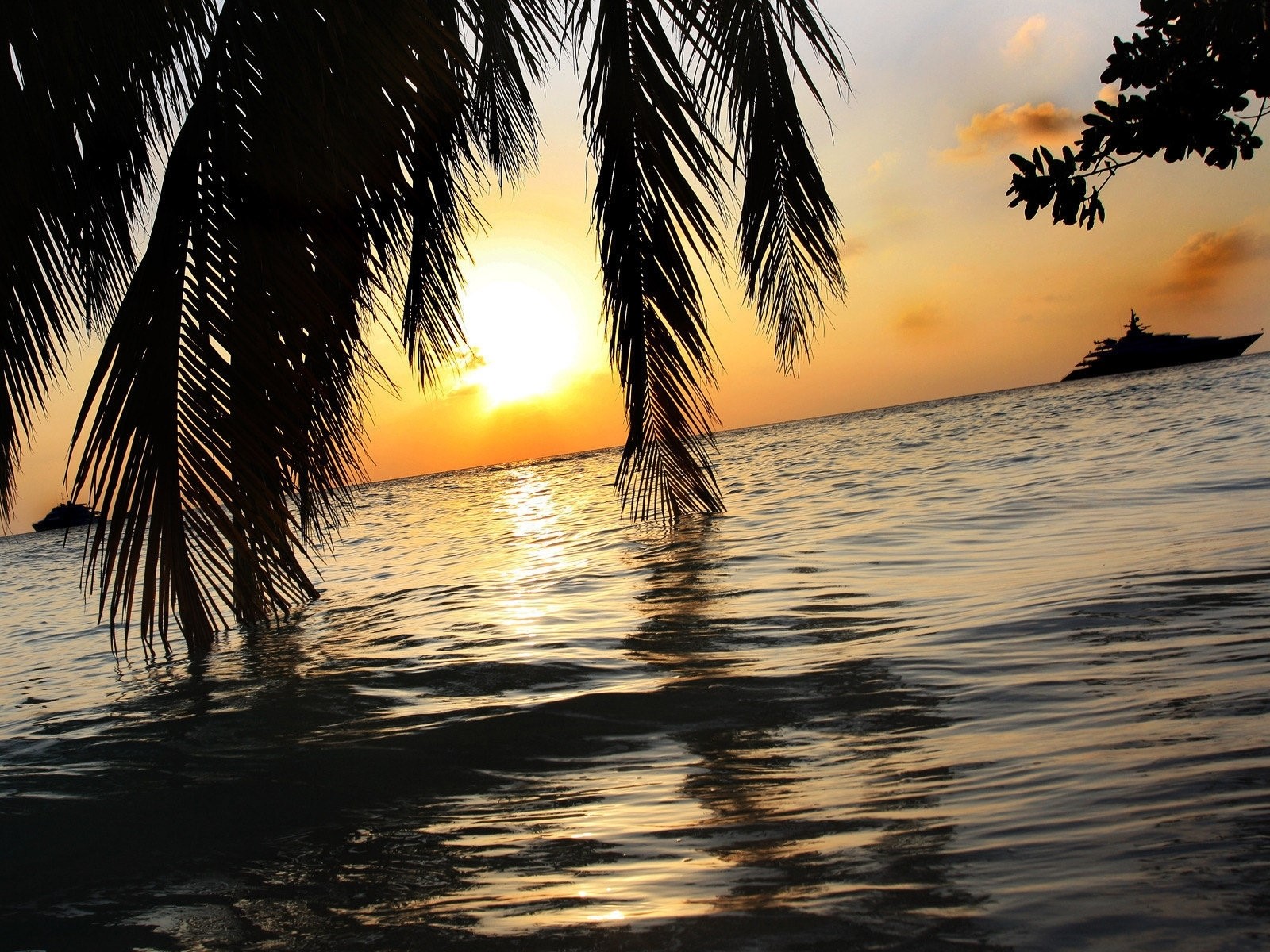 Palm trees and yacht at sunset over the sea HD Wallpaper