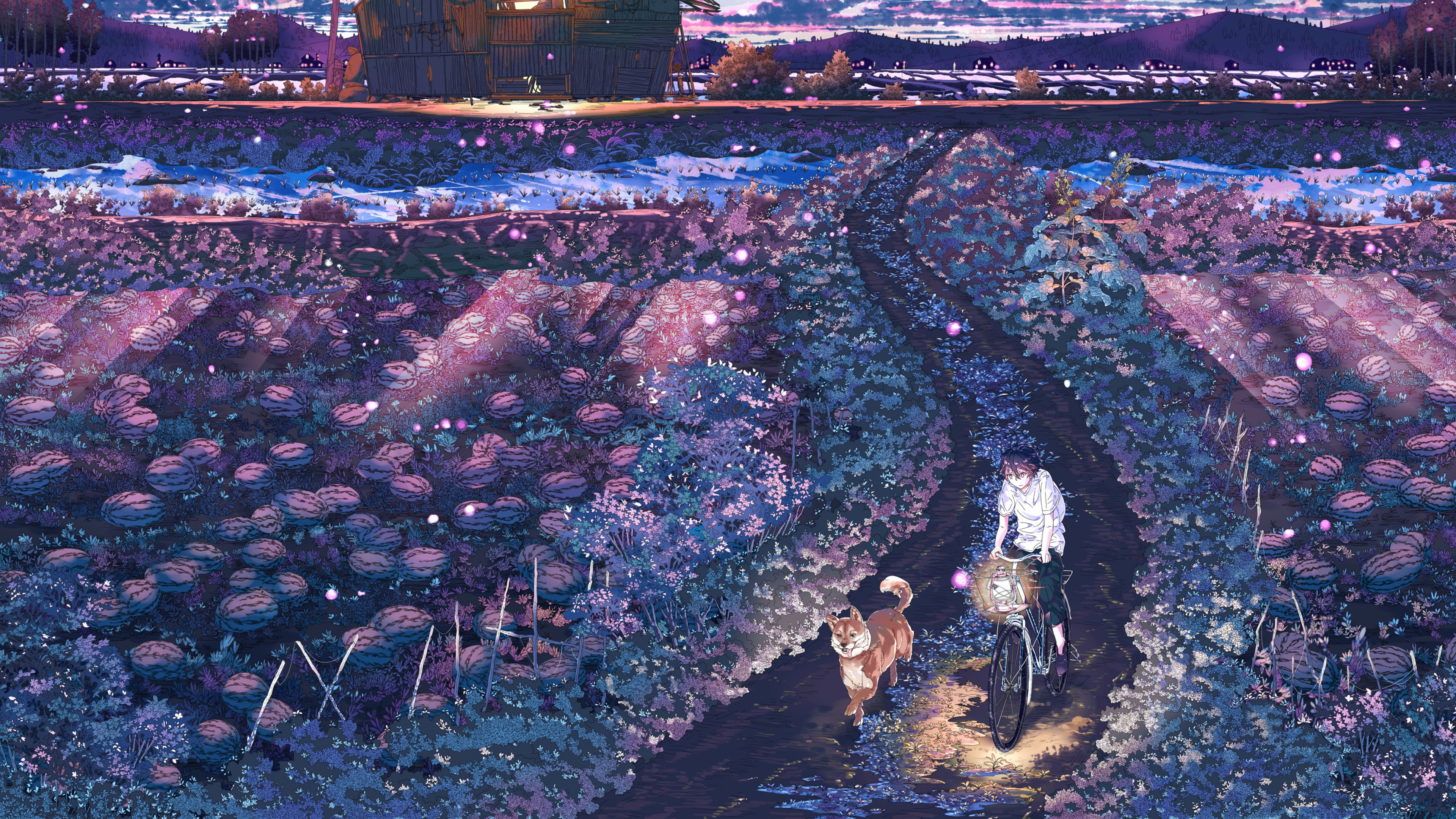 Anime scene of a person cycling through a field at night HD Wallpaper