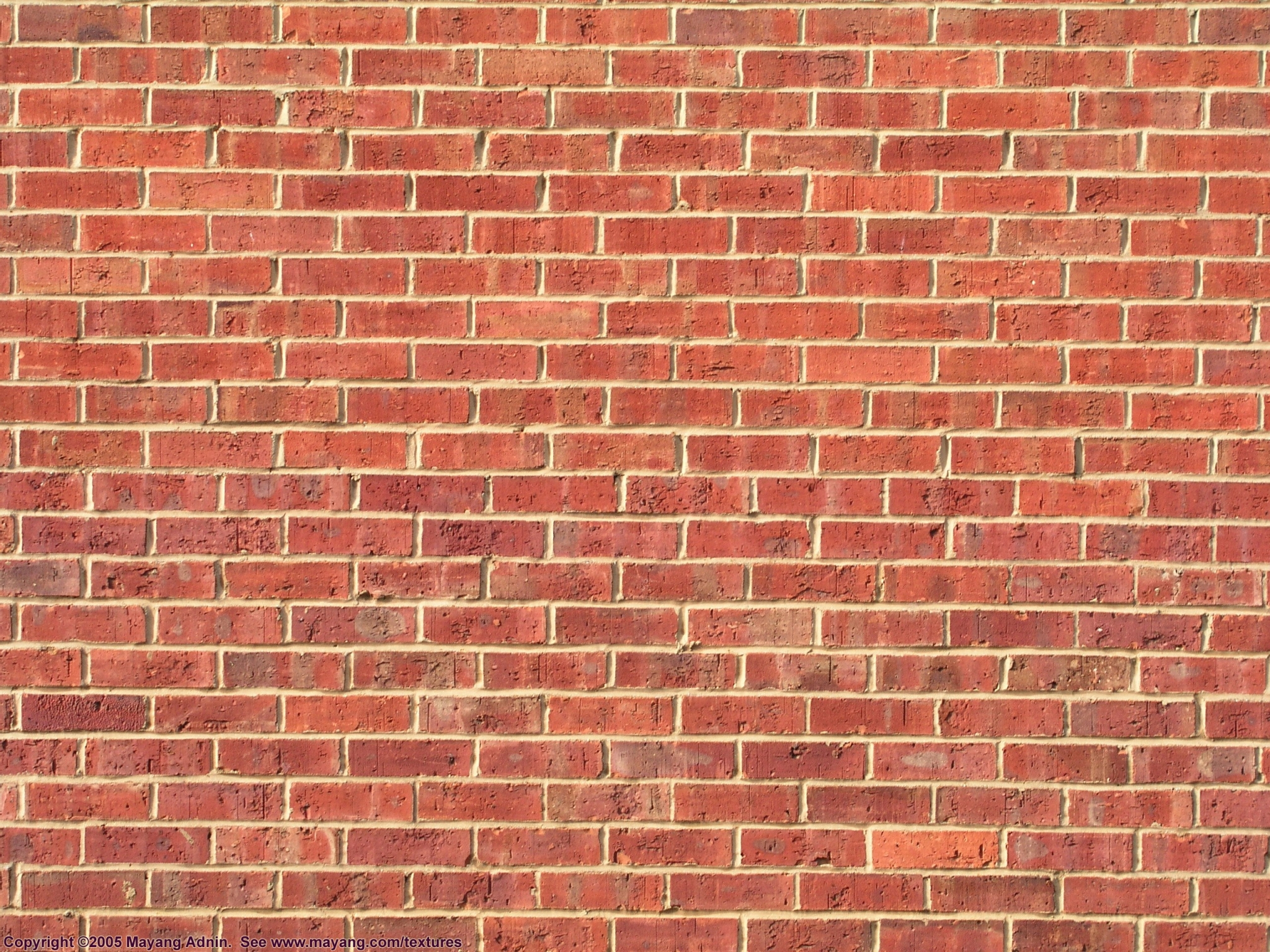 Red brick wall texture HD Wallpaper