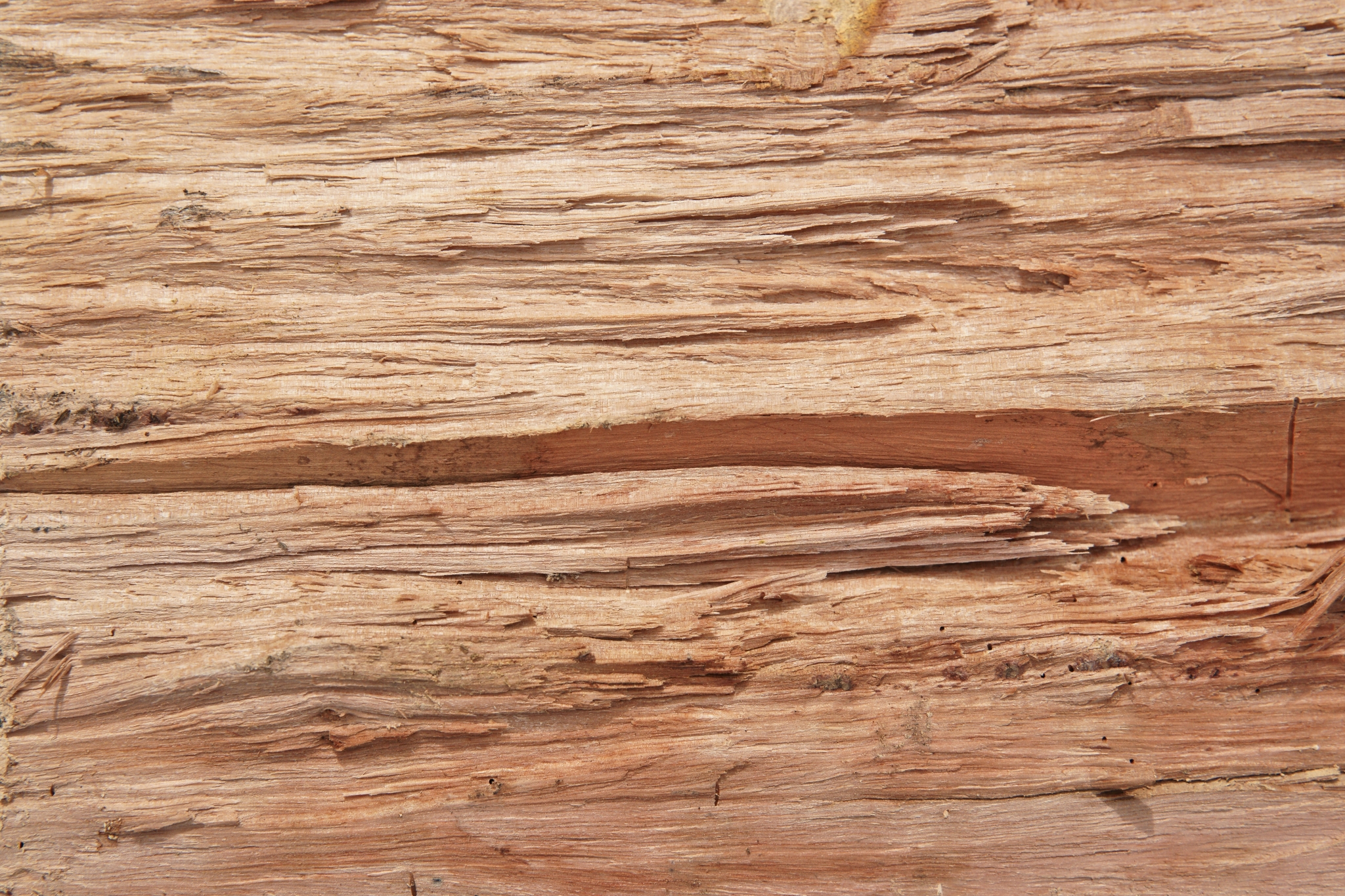 Close-up of weathered wood texture HD Wallpaper