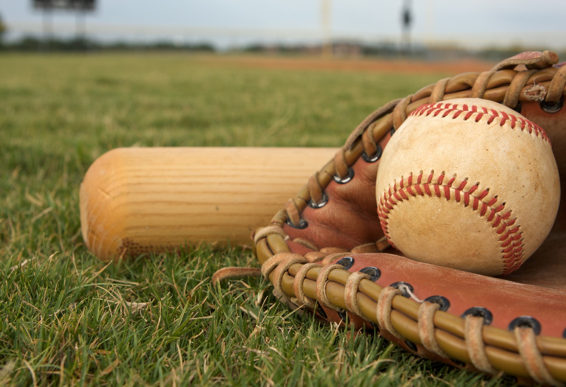 Baseball and Bat on Field HD Wallpaper