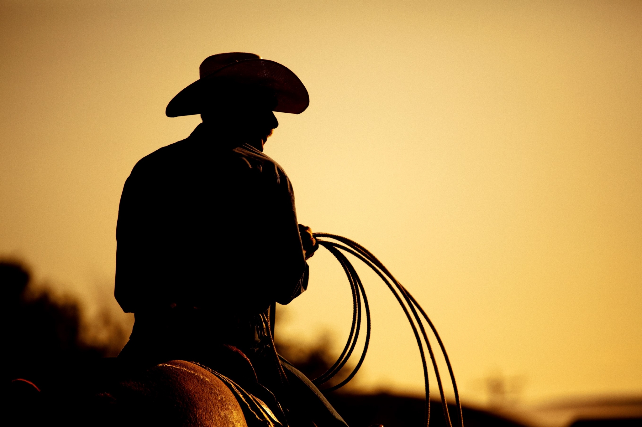 Silhouette of a cowboy on horseback with a lasso at sunset HD Wallpaper