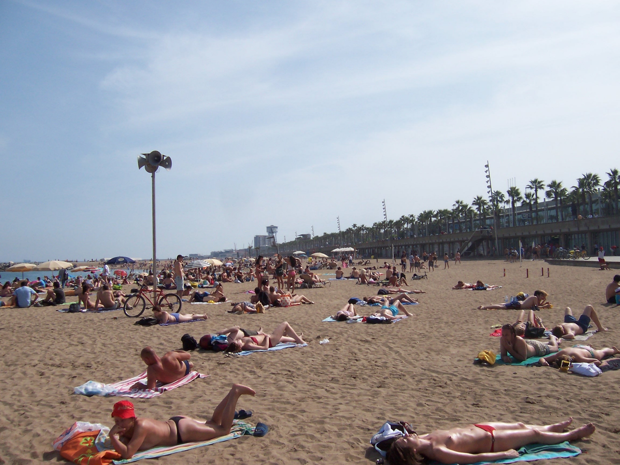 People sunbathing on a crowded beach in Barcelona HD Wallpaper