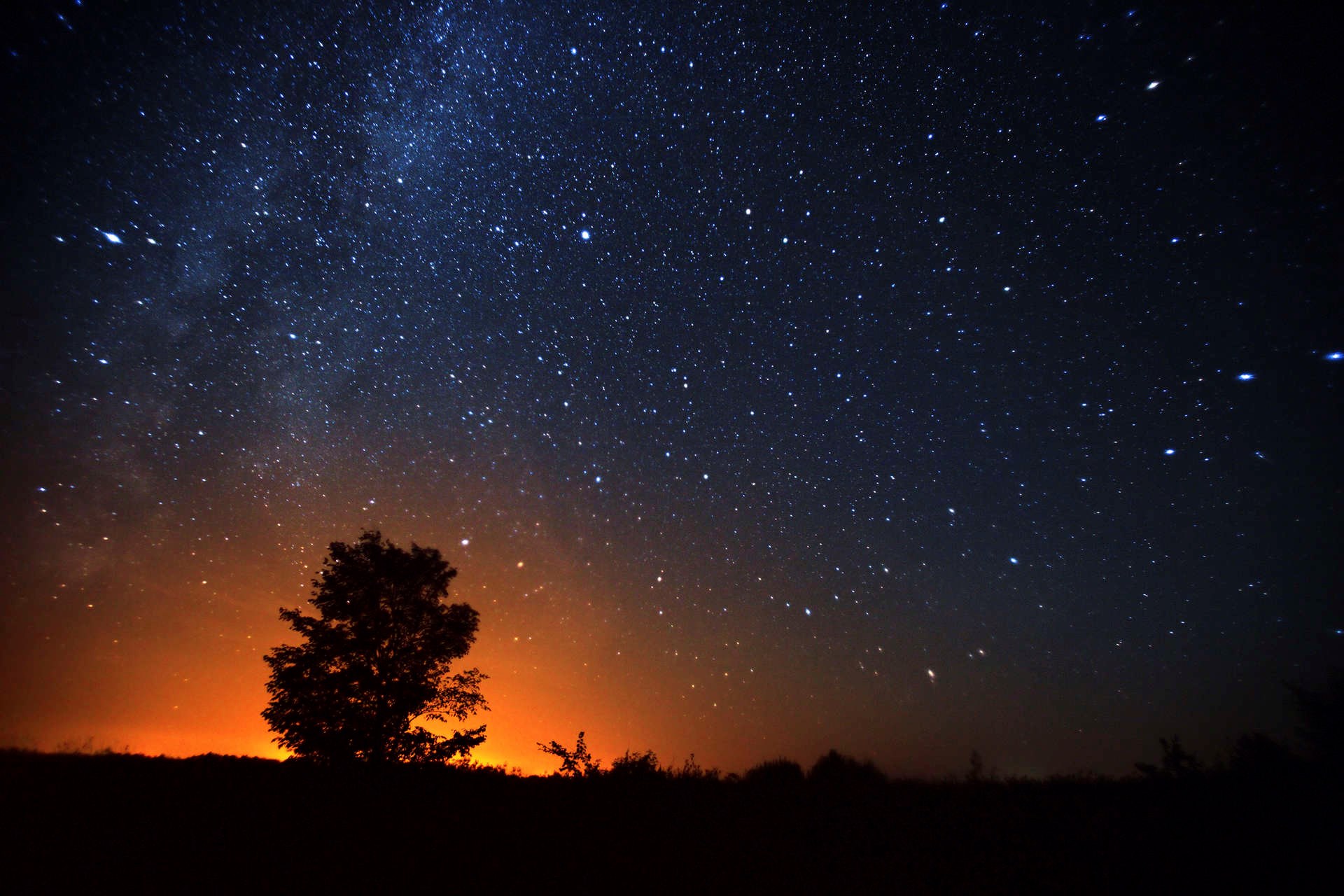 Starry night sky over a silhouetted tree and landscape HD Wallpaper