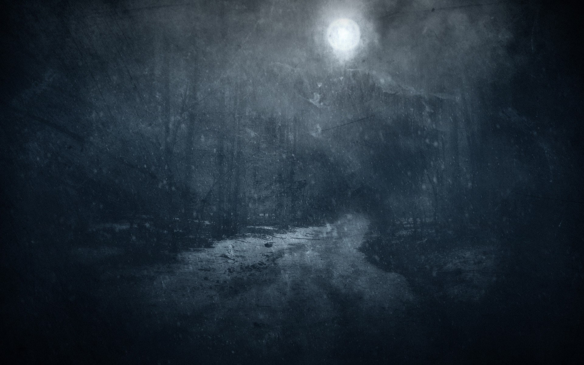Dark Forest Path Under Full Moon HD Wallpaper