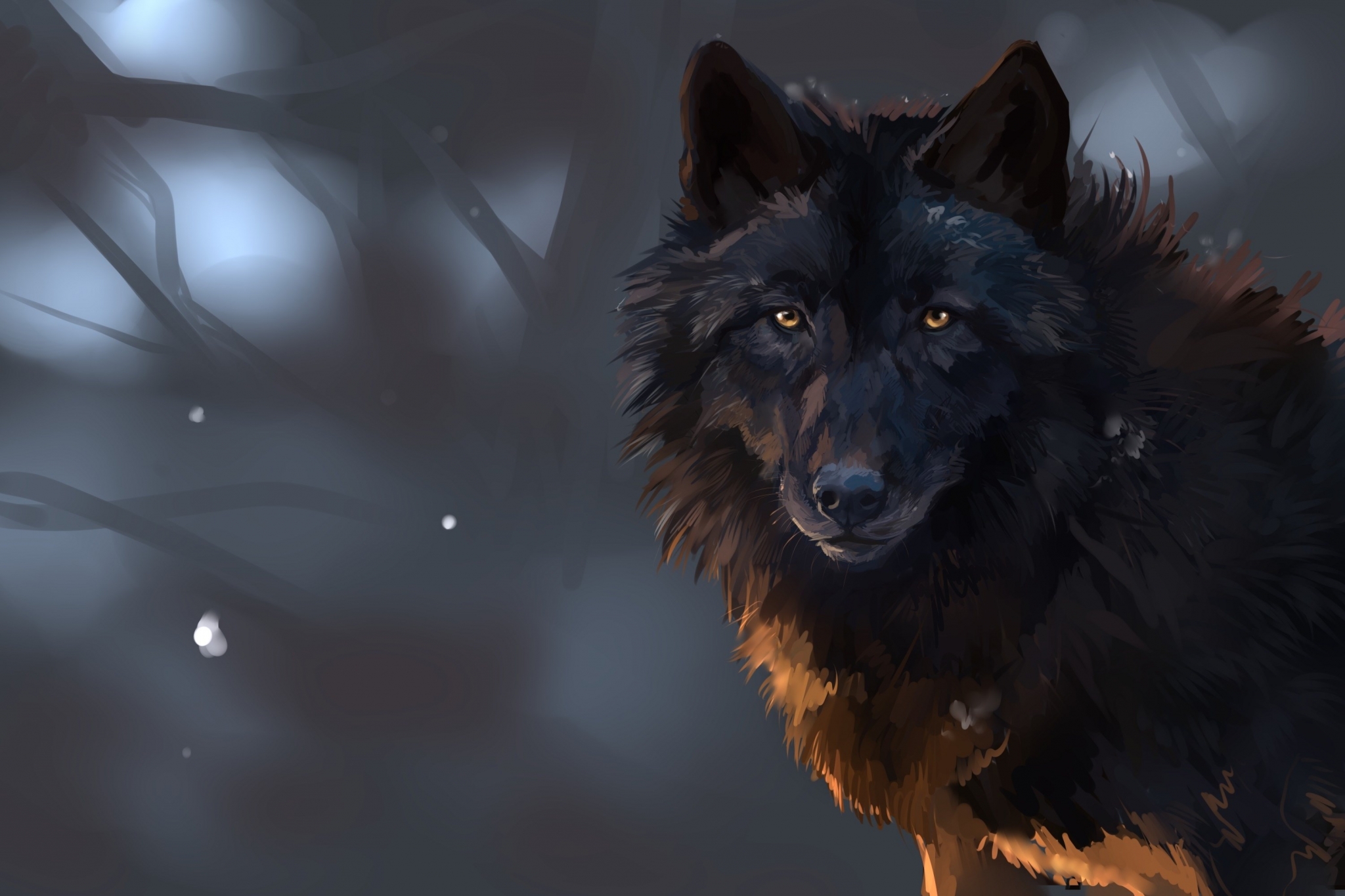 Dark wolf in a misty forest HD Wallpaper