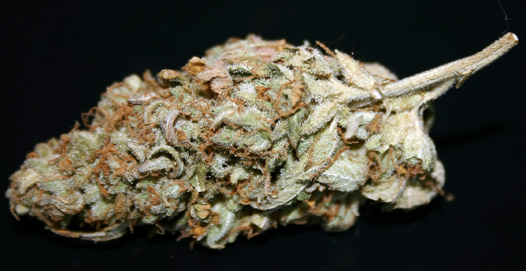 Close-up of a marijuana bud HD Wallpaper