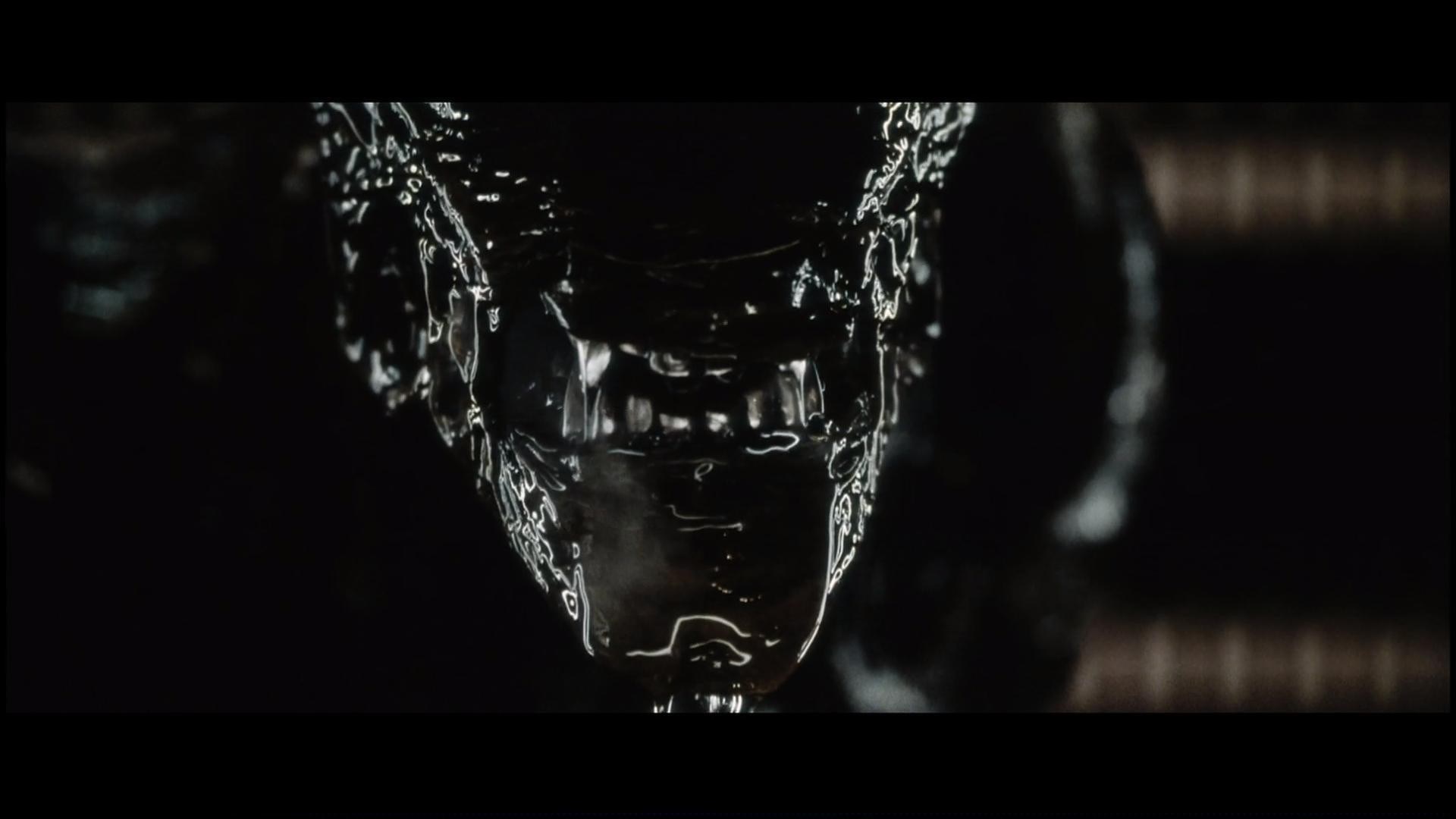 Alien from Alien franchise HD Wallpaper