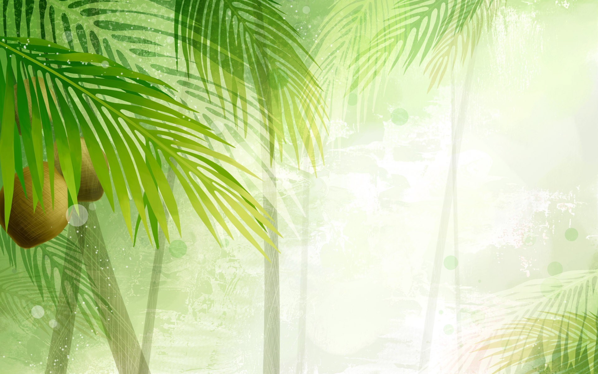 Palm trees with coconuts and leaves HD Wallpaper