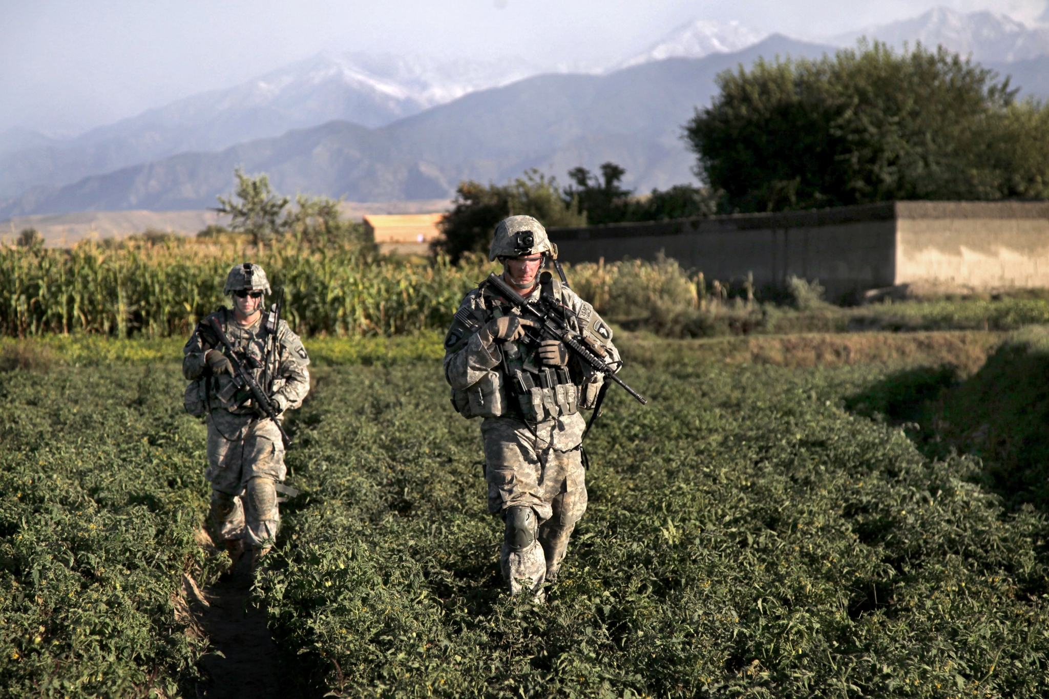 US Army soldiers patrol a field with mountains in the background HD Wallpaper