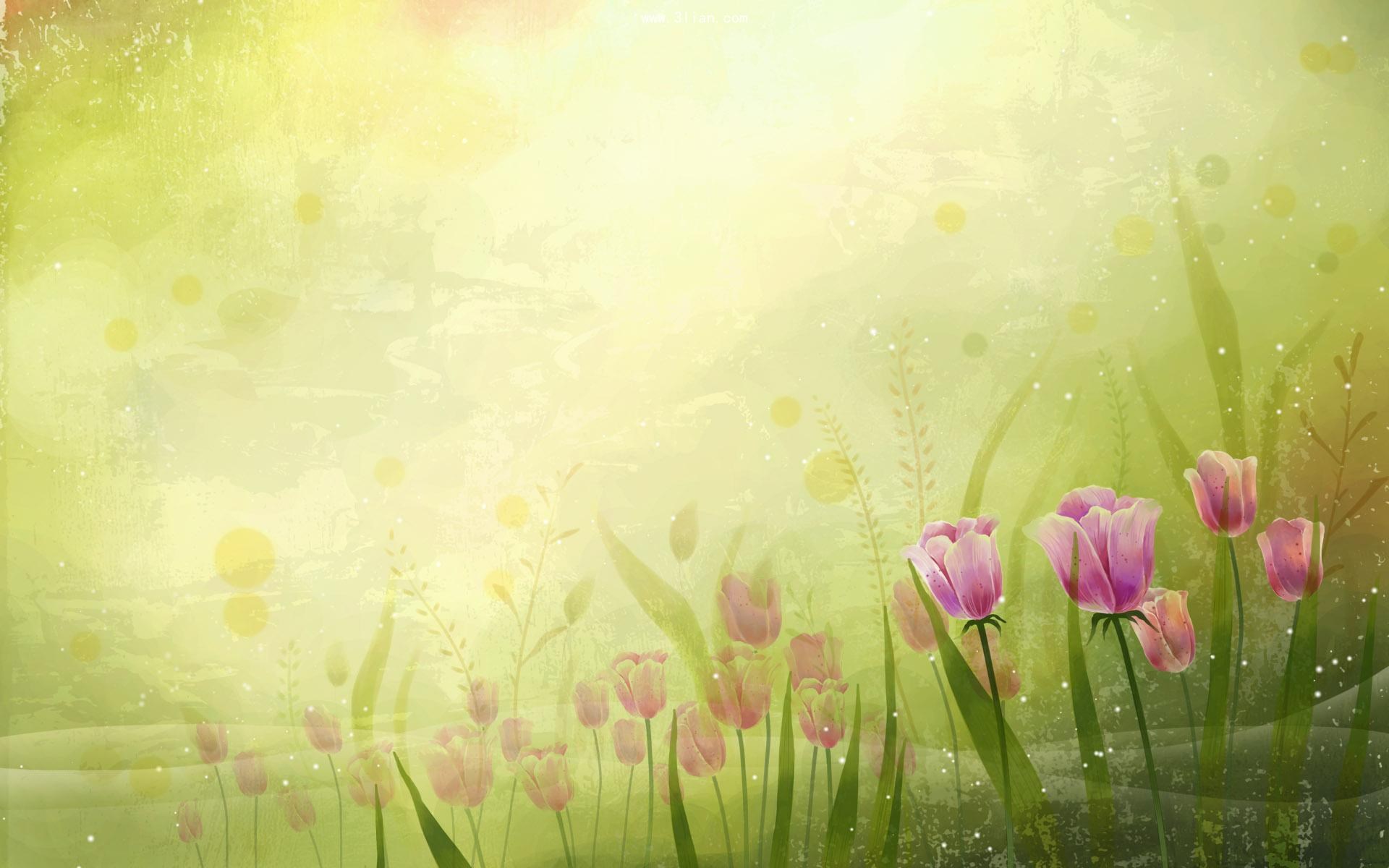 Vintage flower illustration with pink tulips HD Wallpaper