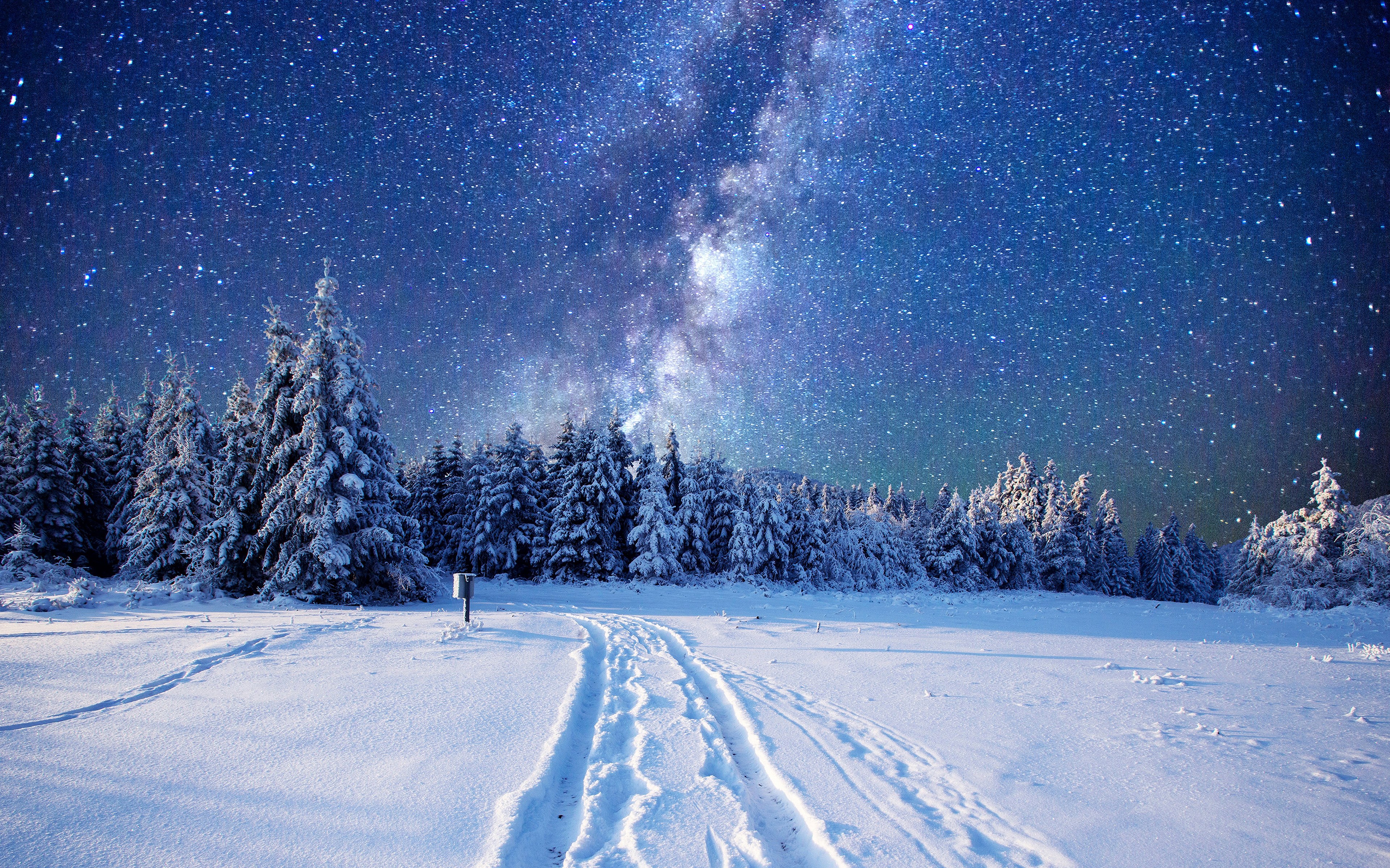 Snowy forest under the Milky Way HD Wallpaper