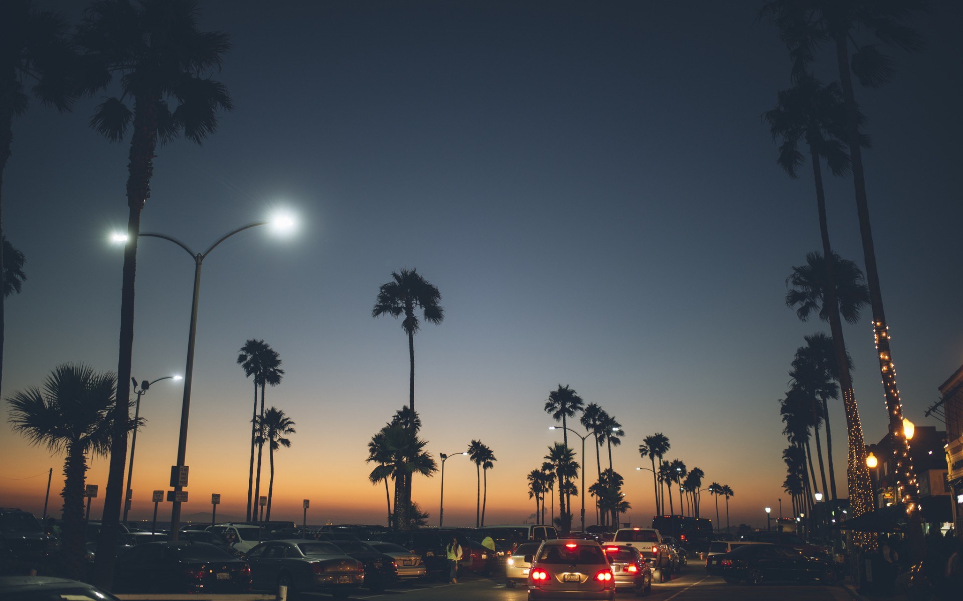 Palm trees and traffic at sunset in California HD Wallpaper