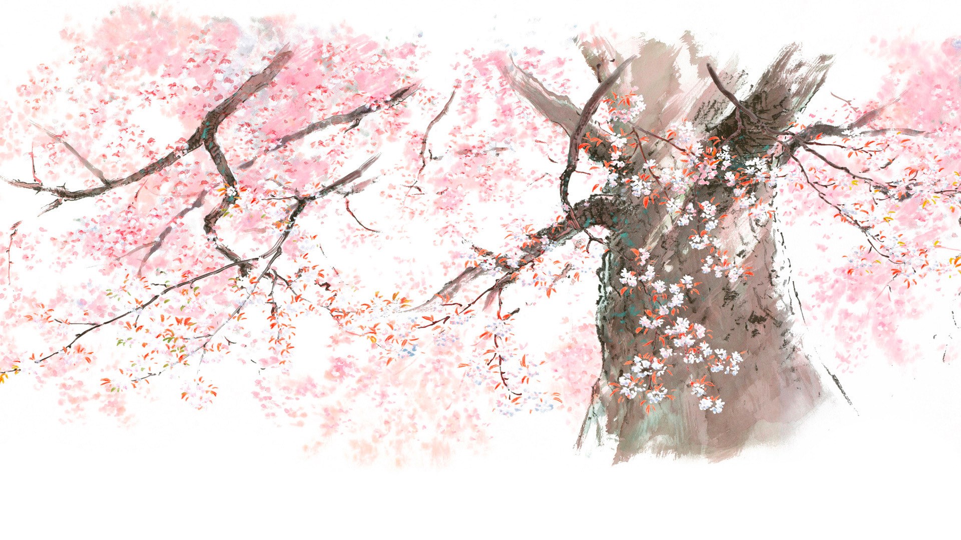 The Tale of the Princess Kaguya Cherry Blossoms HD Wallpaper