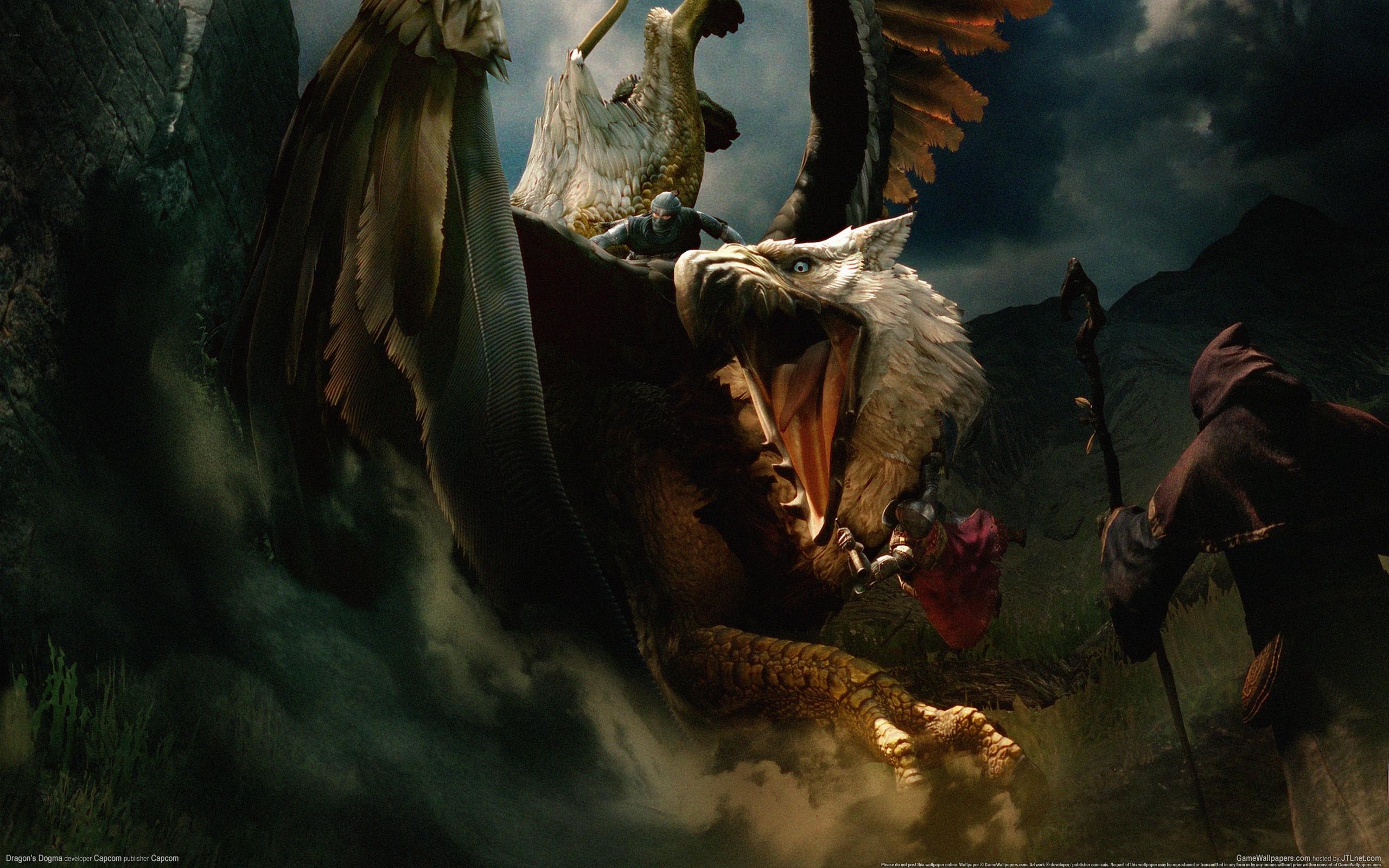 Dragon's Dogma: Dark Arisen Griffin battle HD Wallpaper