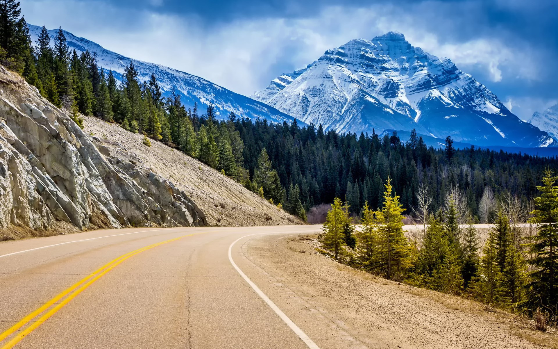 Mountain road with snow-capped peaks and pine forest HD Wallpaper