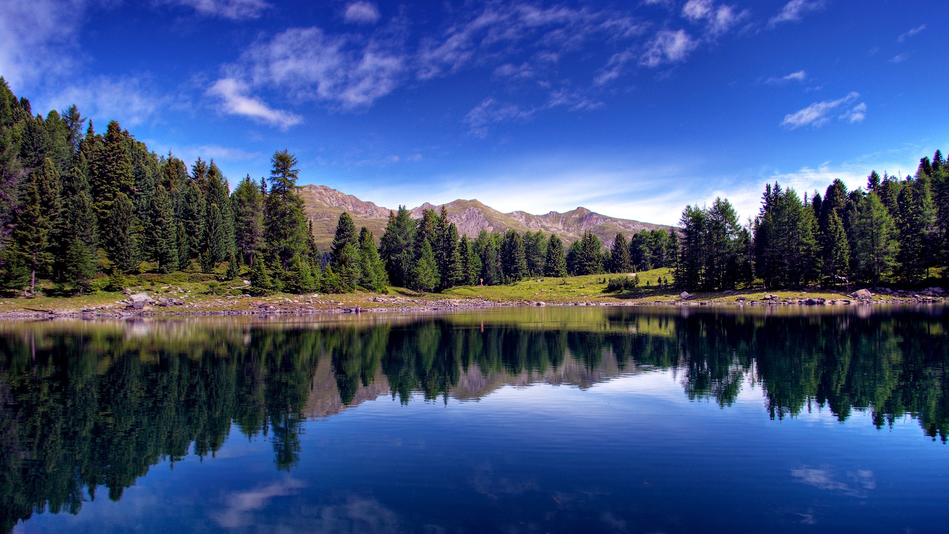 Lake with Pine Forest and Mountains HD Wallpaper